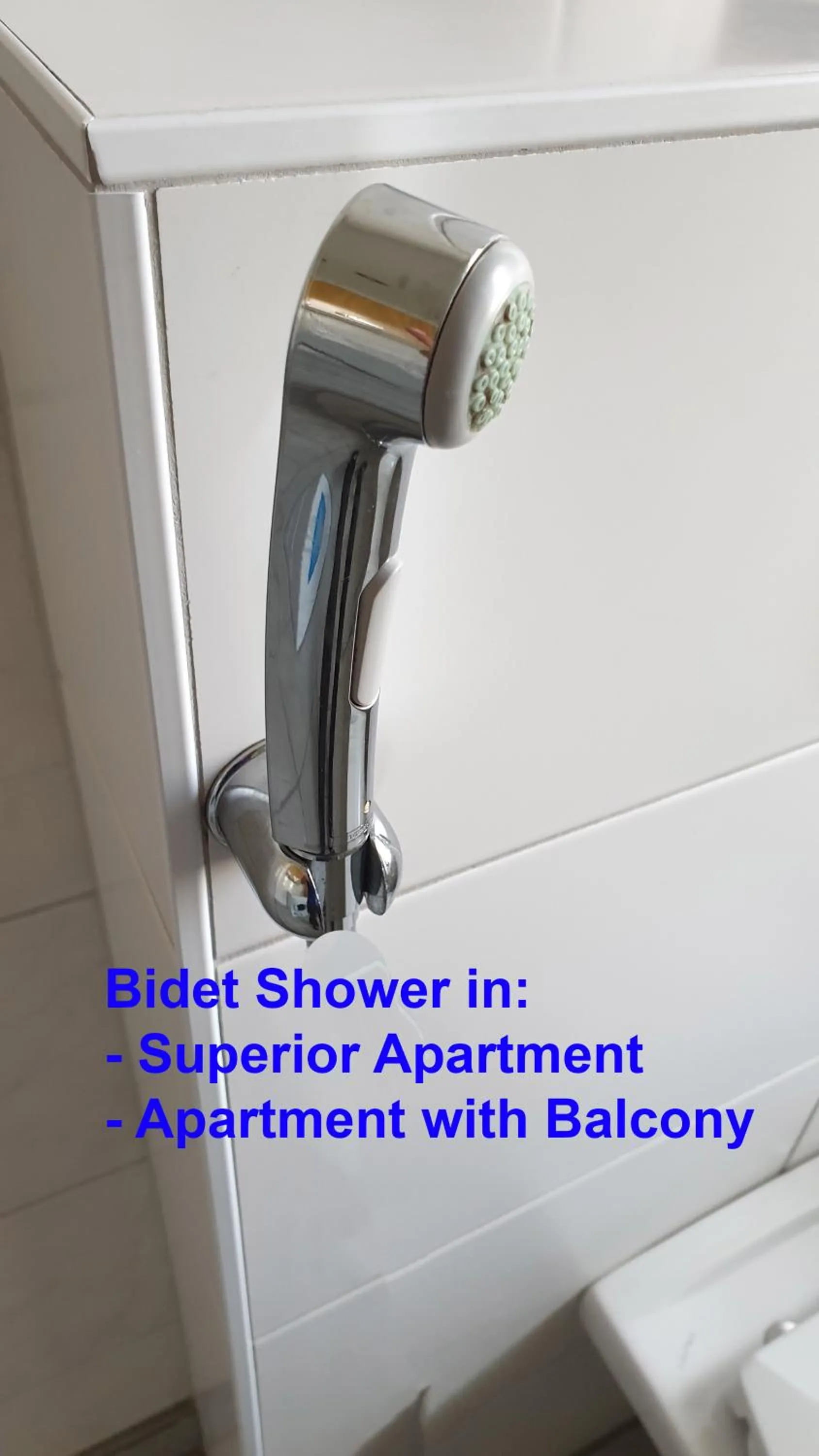 Toilet in Ski-n-Lake City Apartments