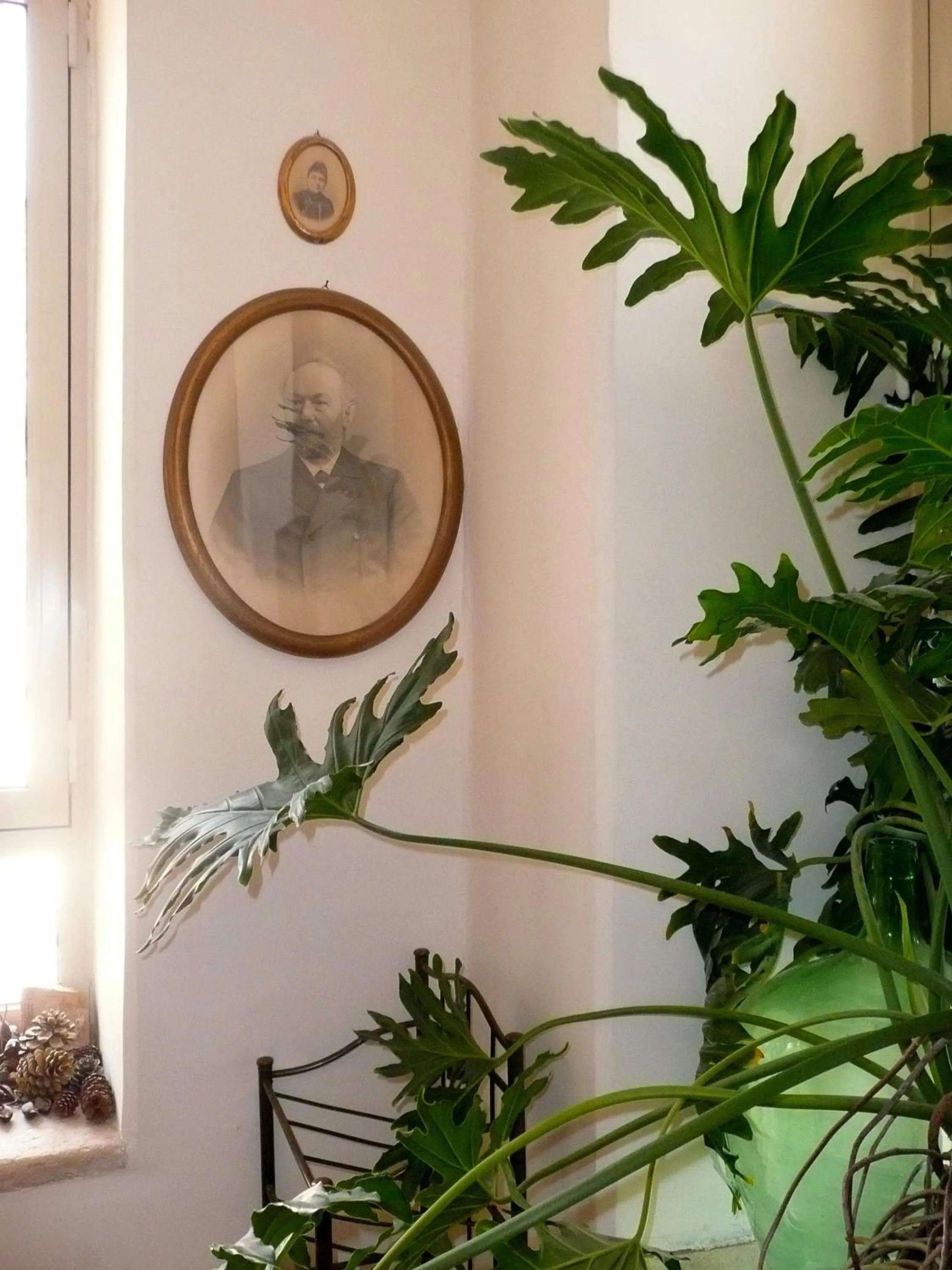 Other in Diana's B&B