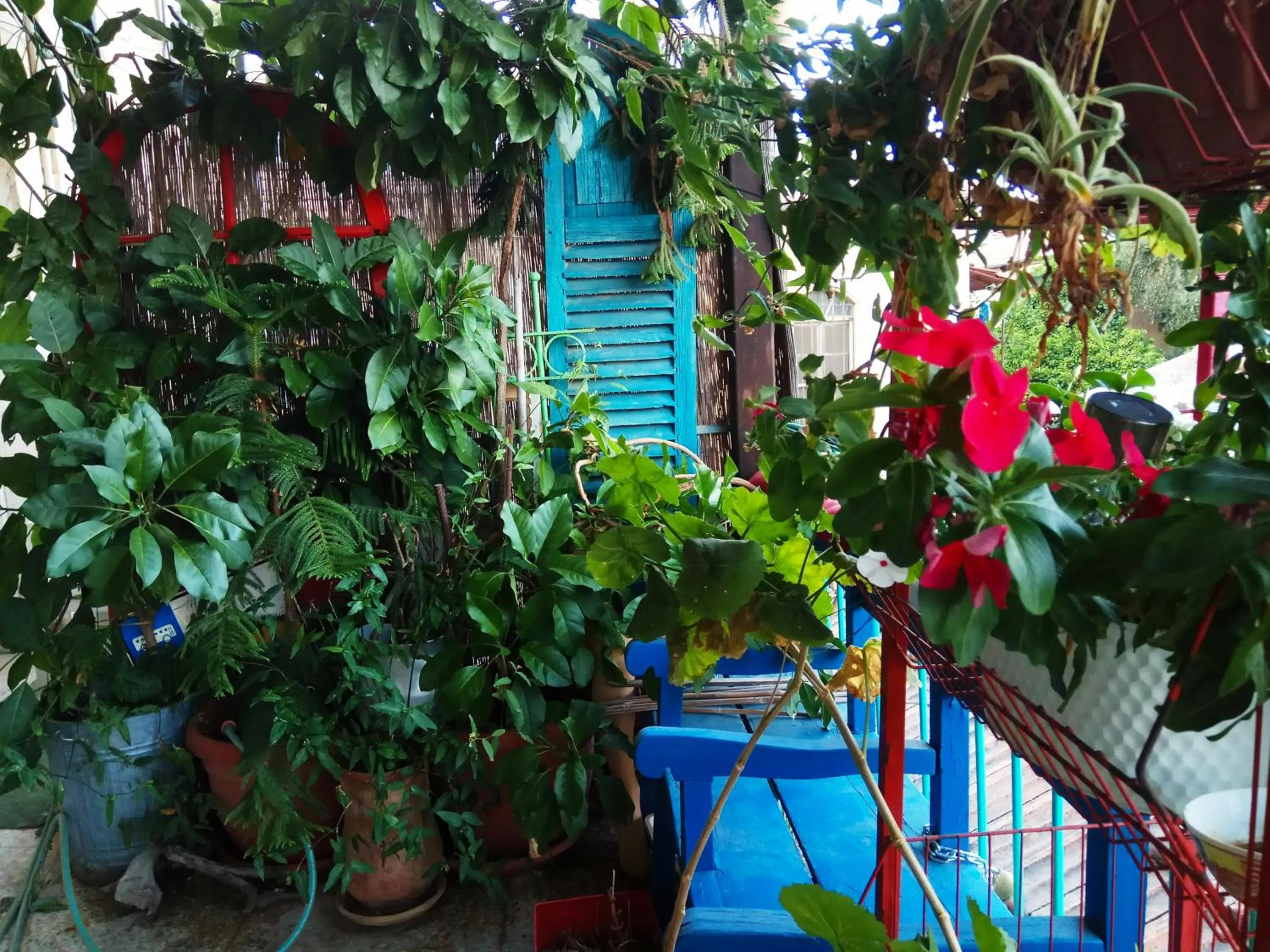 Balcony/Terrace in Diana's B&B