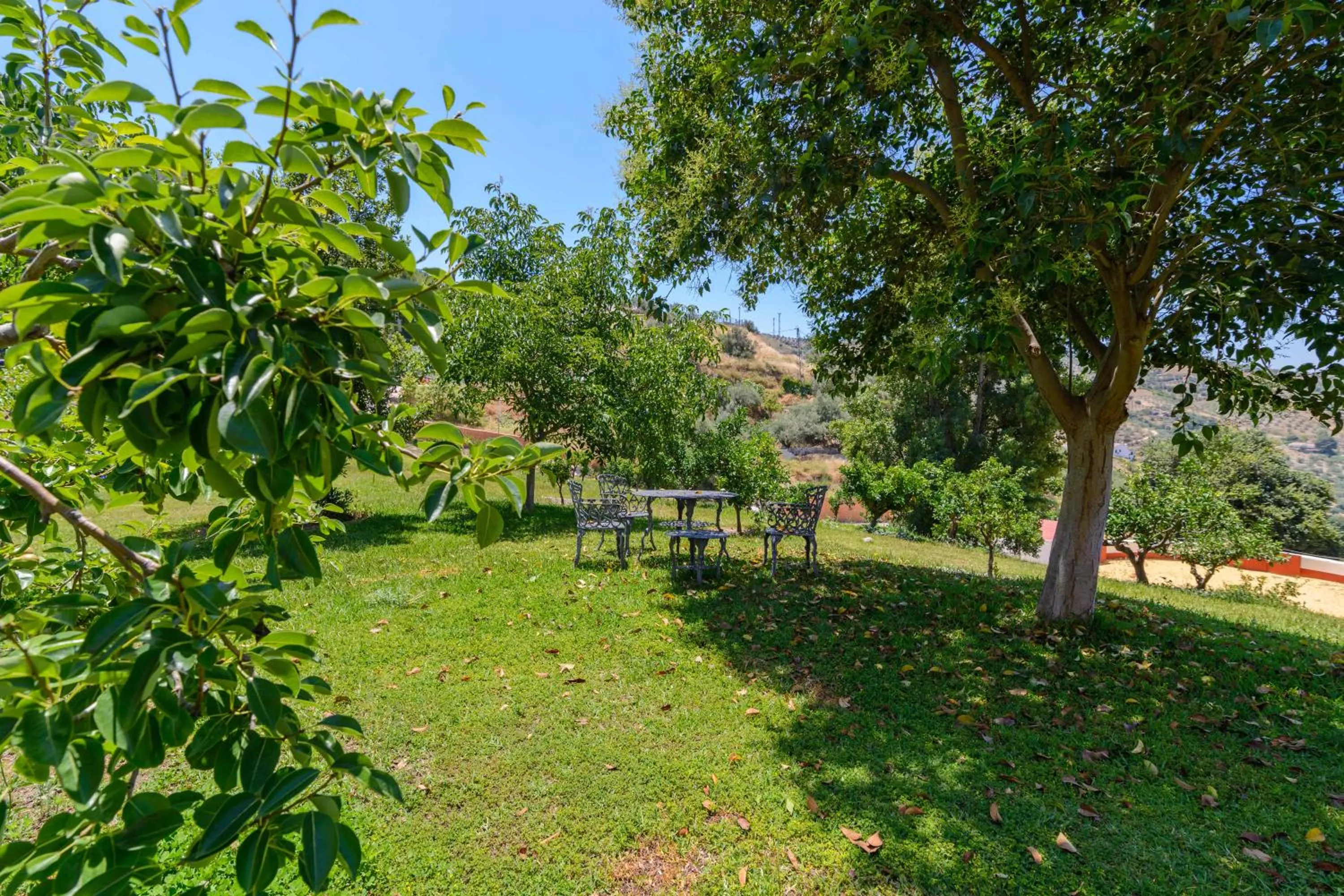 Garden in Hotel Rural Sierra Tejeda