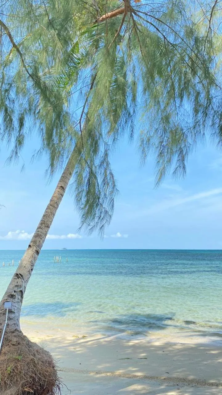 Kawaland glamping resort