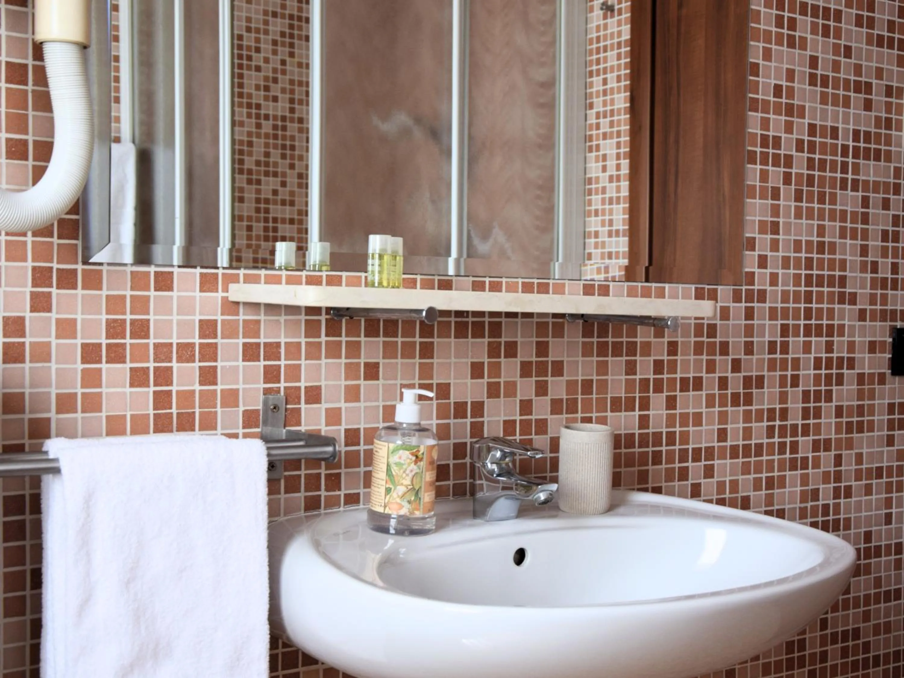 Bathroom in Colombara Farmhouse