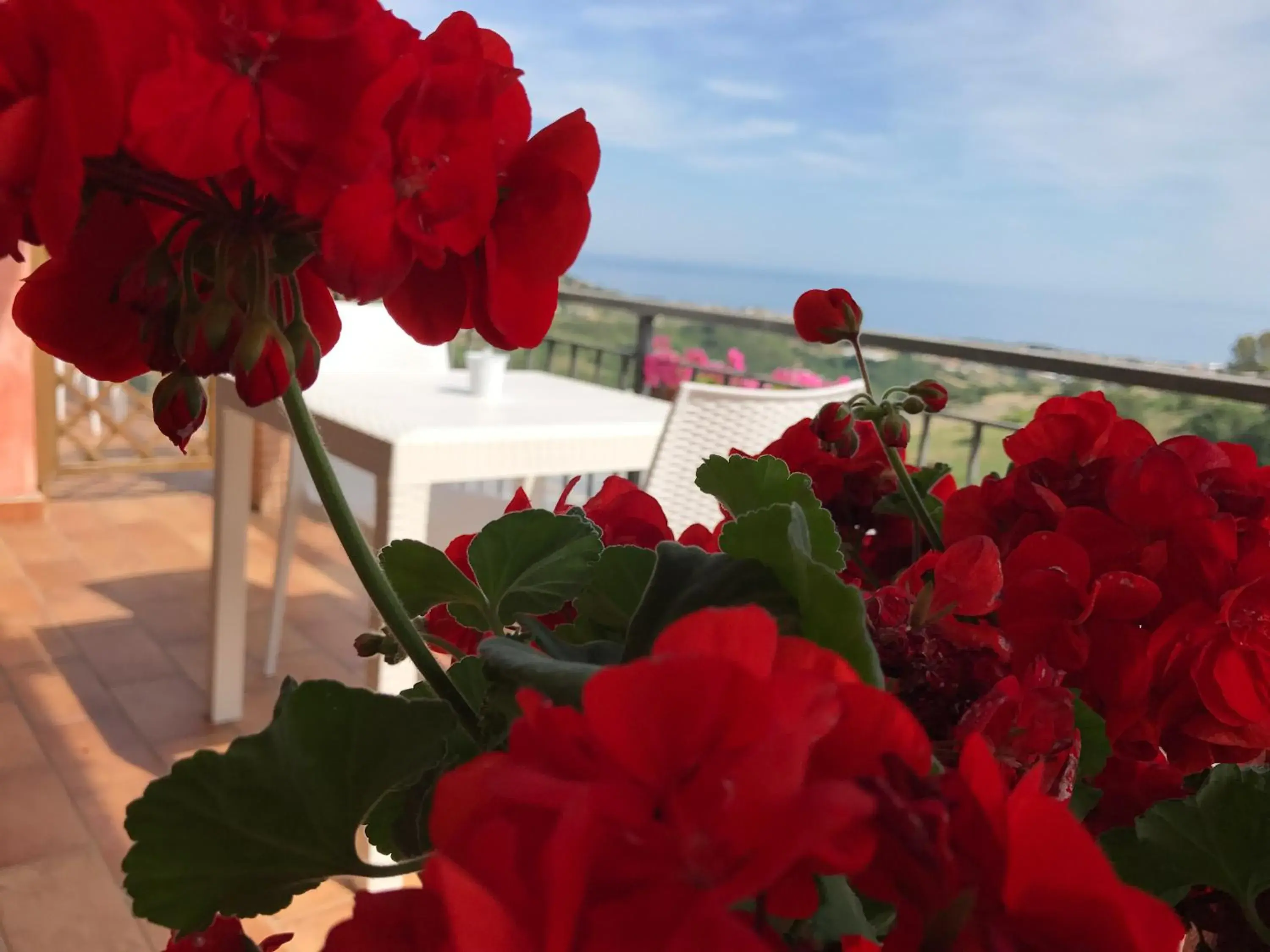 Quadruple Room with Sea View in I Cardinali Quadruple Room with Sea View in I Cardinali