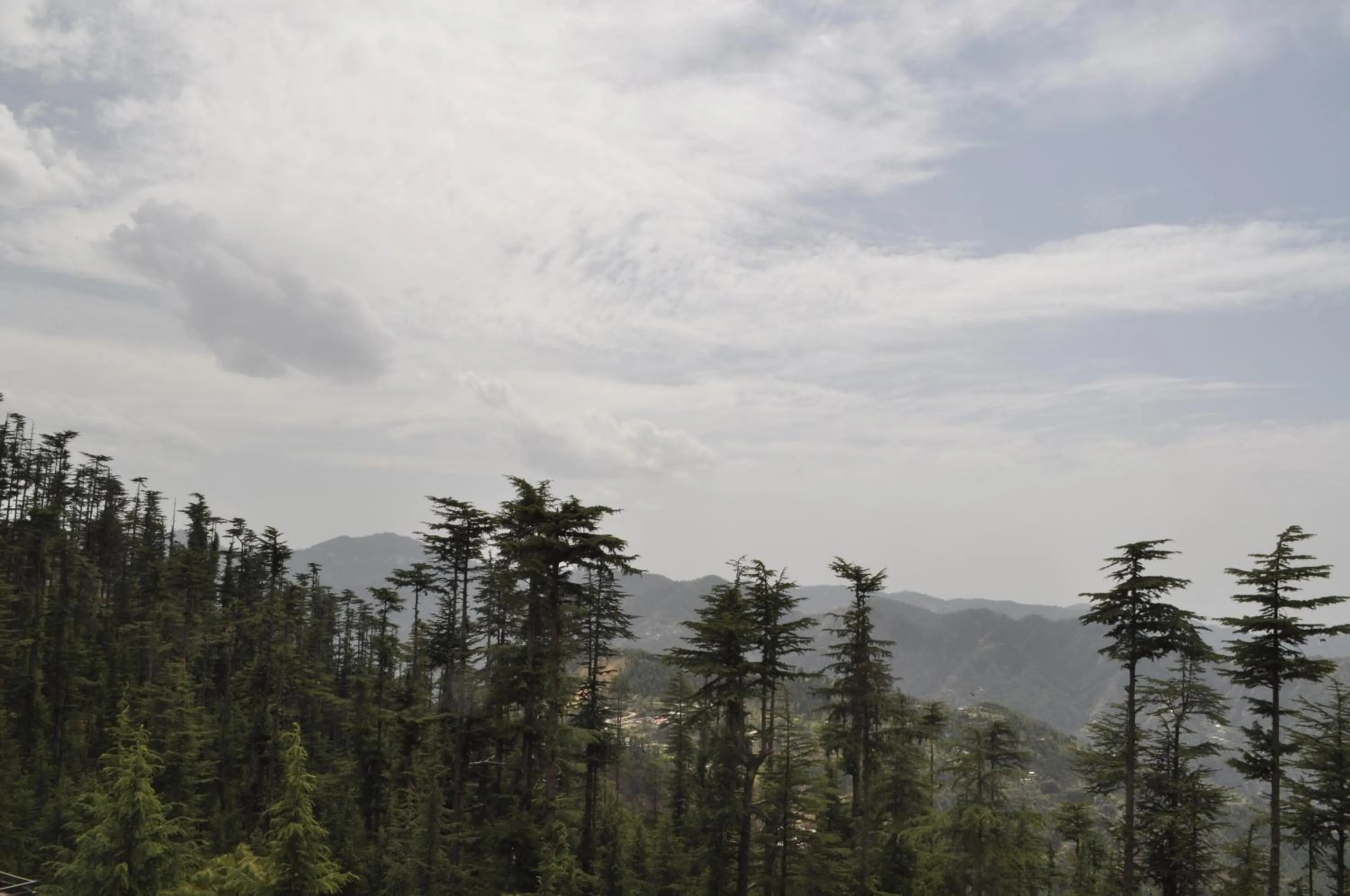 Natural landscape in The Woodstock Resort