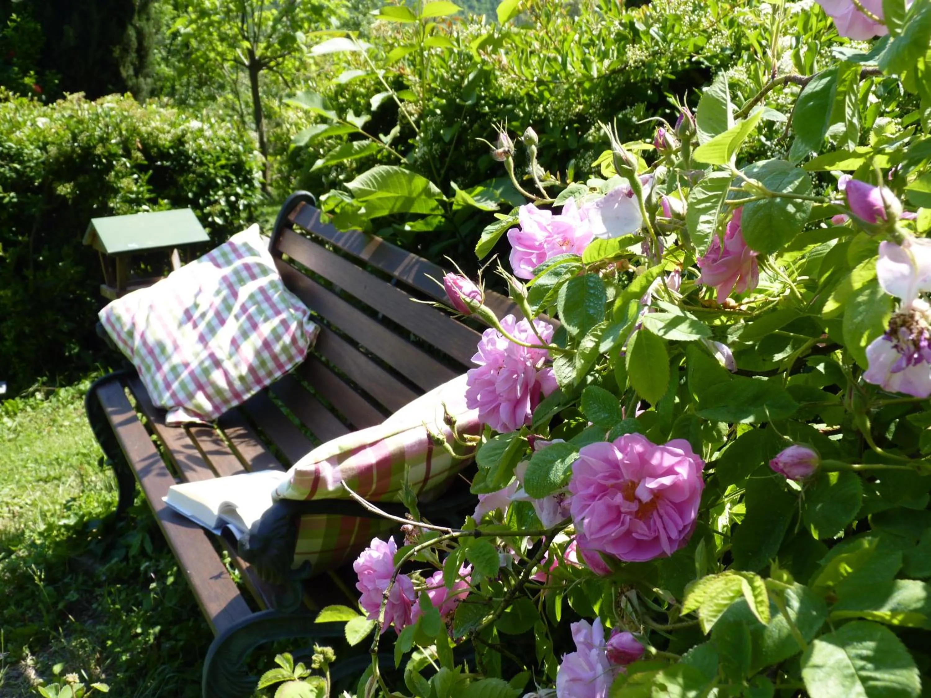 Garden in B&B The Roses Garden