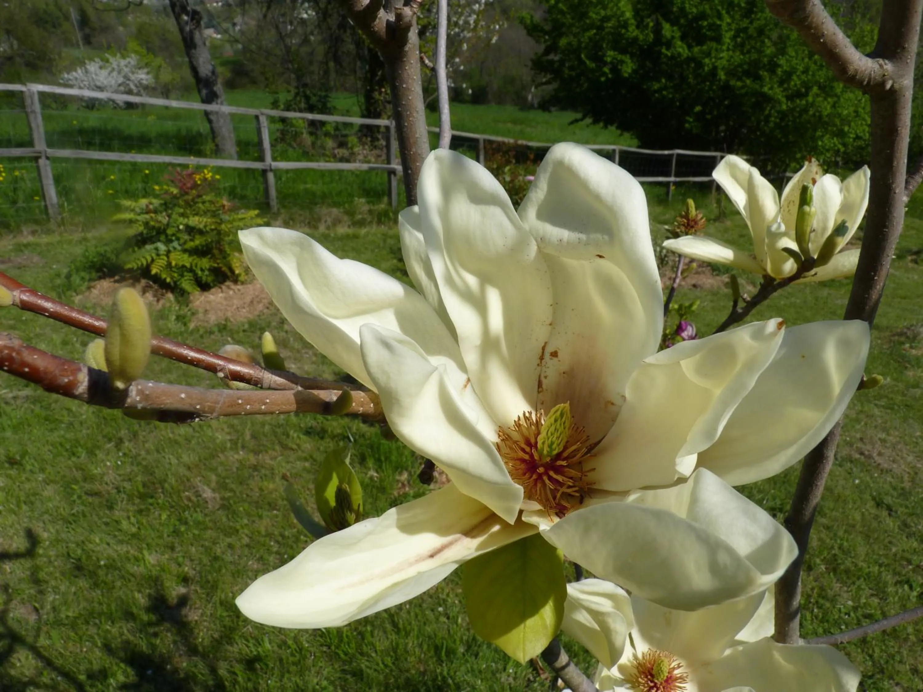 Natural landscape in B&B The Roses Garden