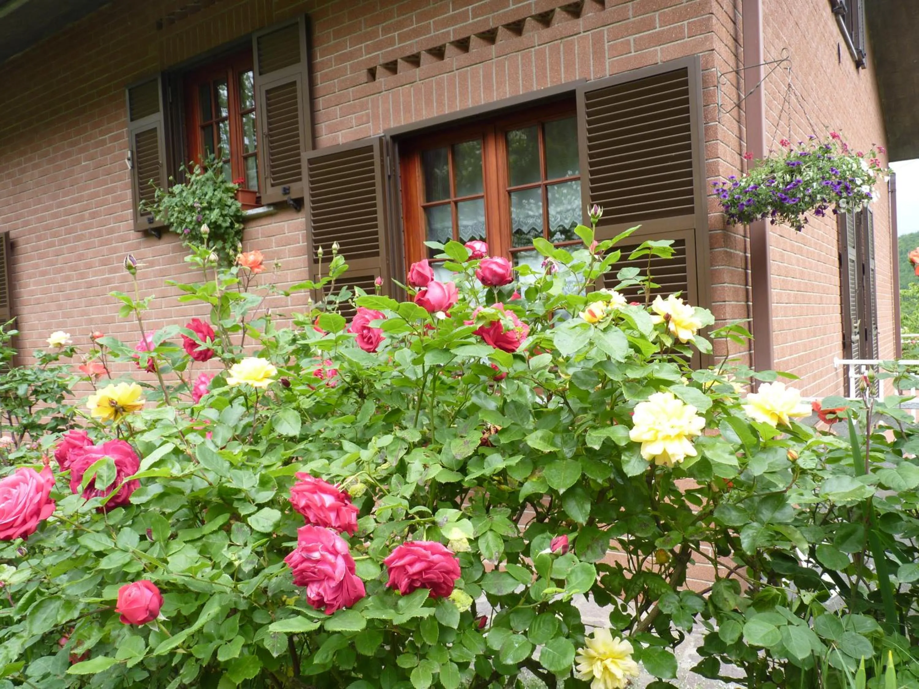 Facade/entrance in B&B The Roses Garden