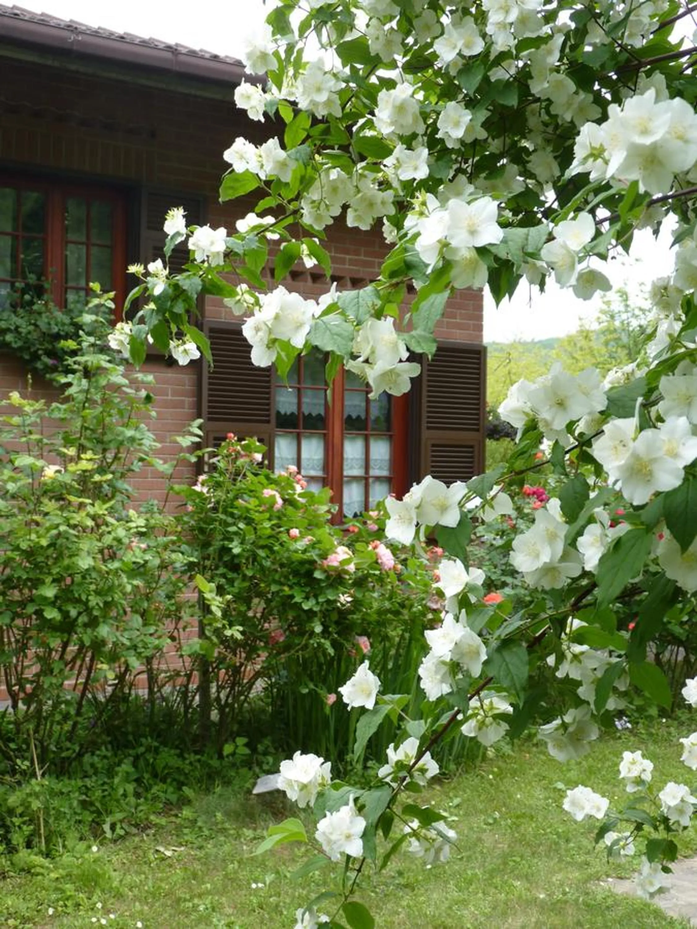 Garden view in B&B The Roses Garden
