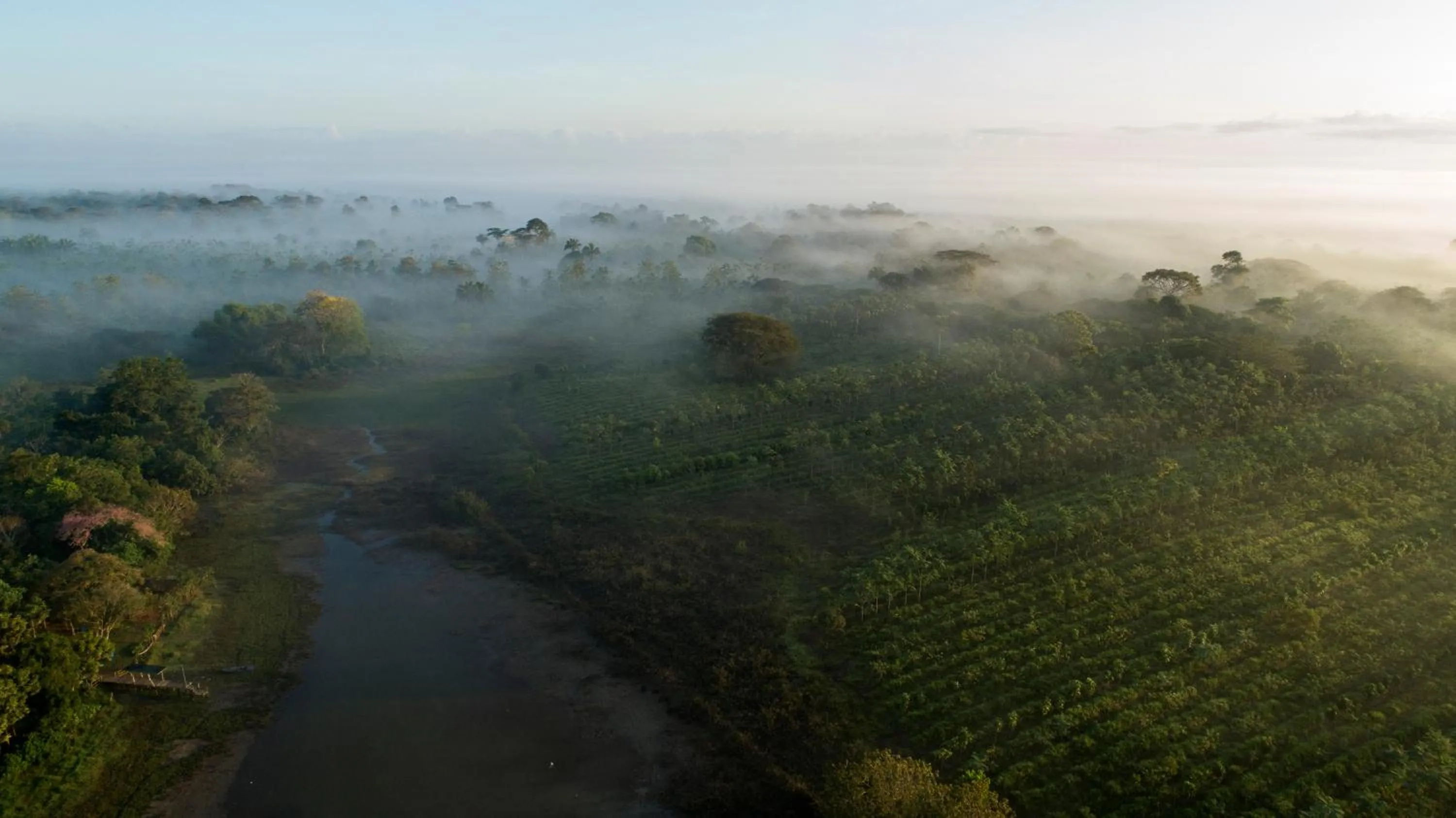 Natural Lodge Caño Negro