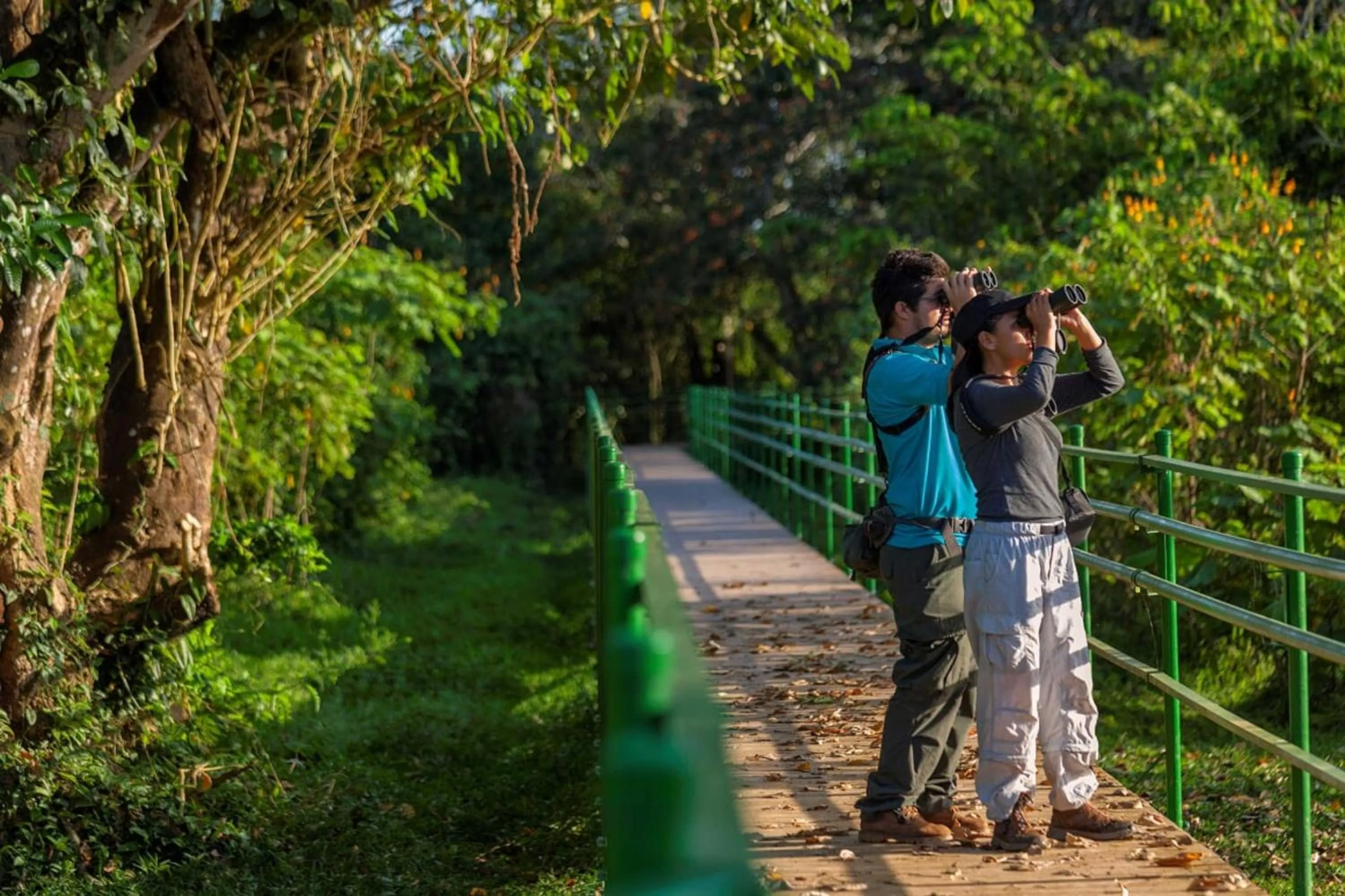 Activities in Natural Lodge Caño Negro
