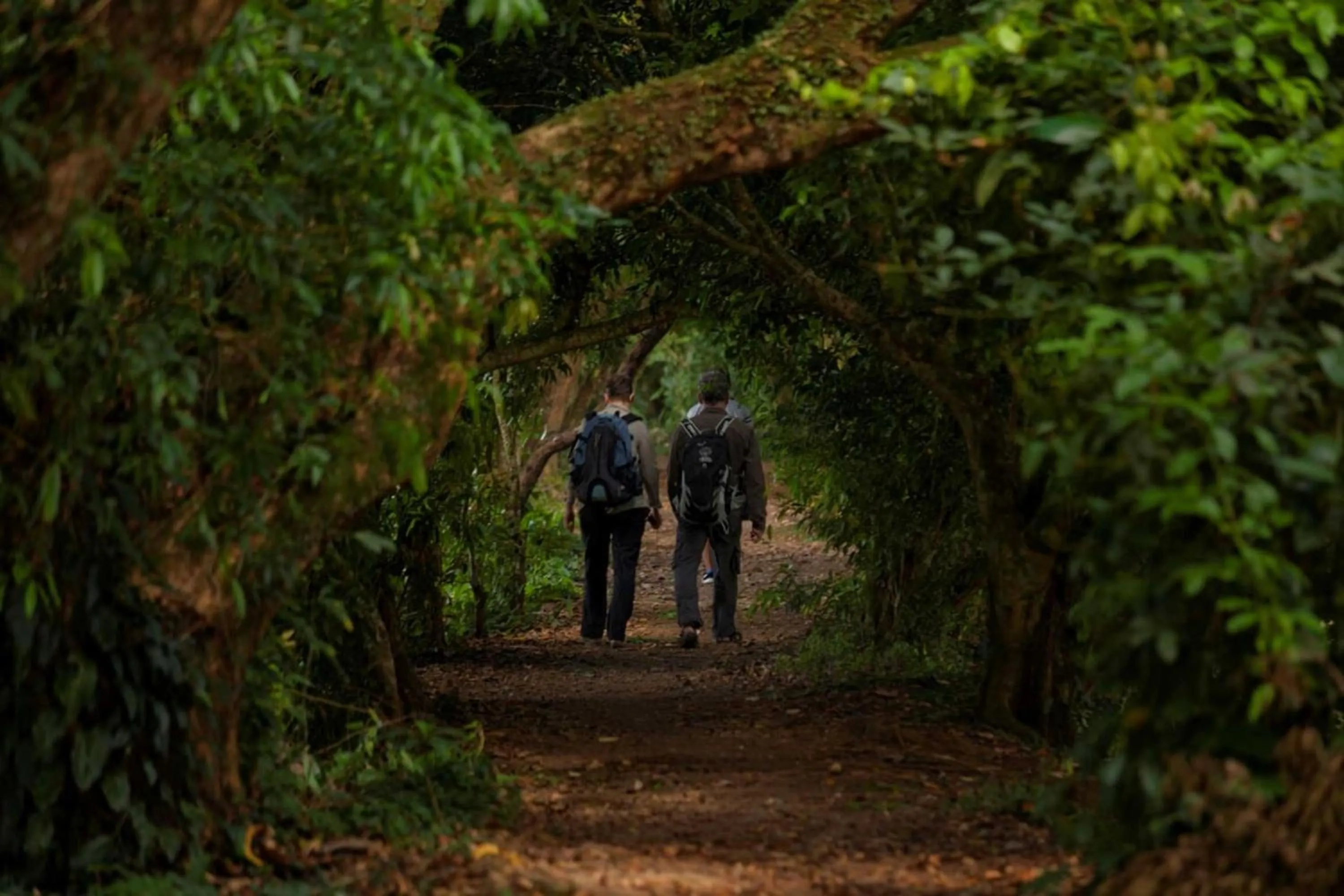 People in Natural Lodge Caño Negro