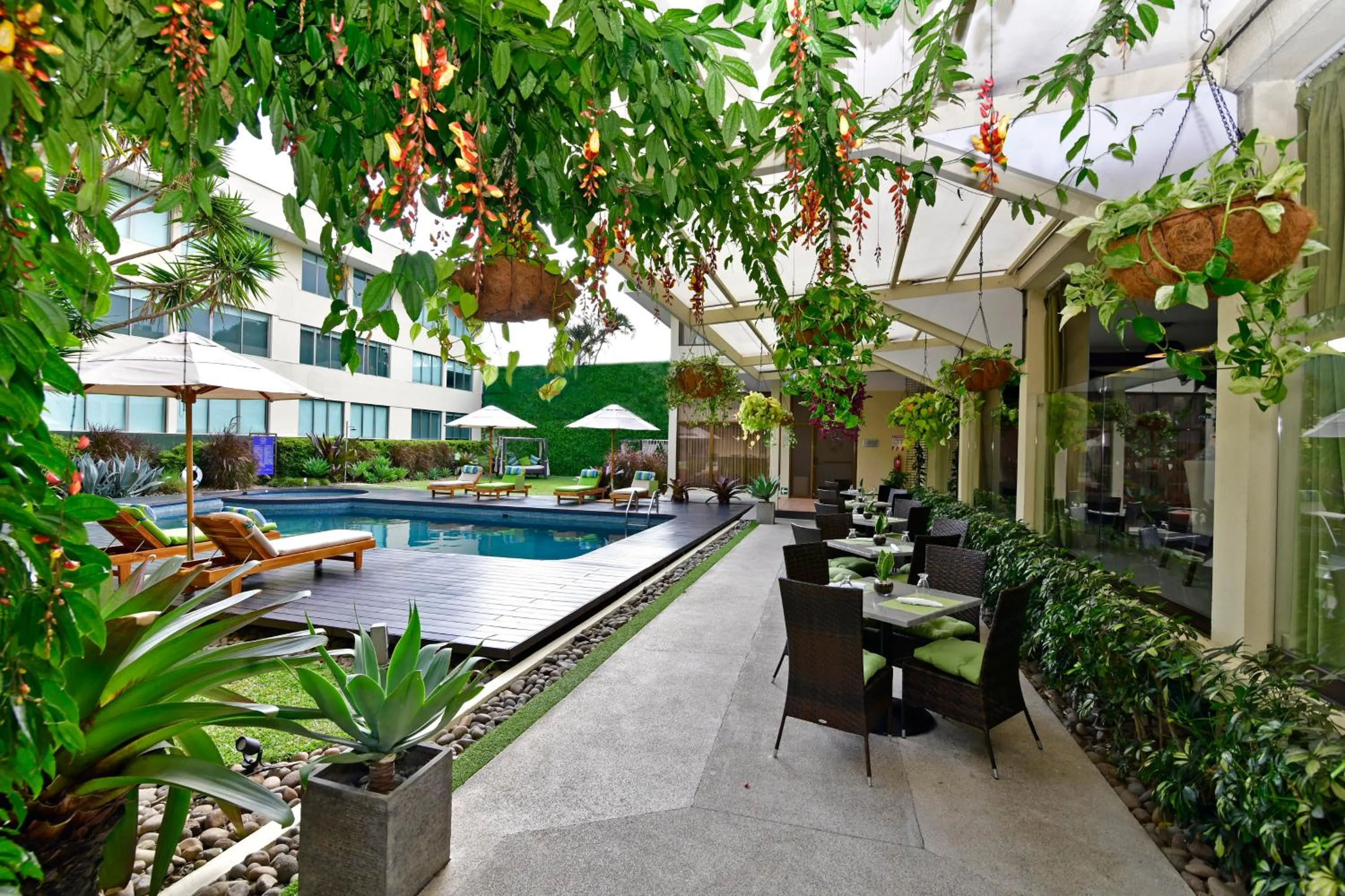 Garden in Auténtico Hotel