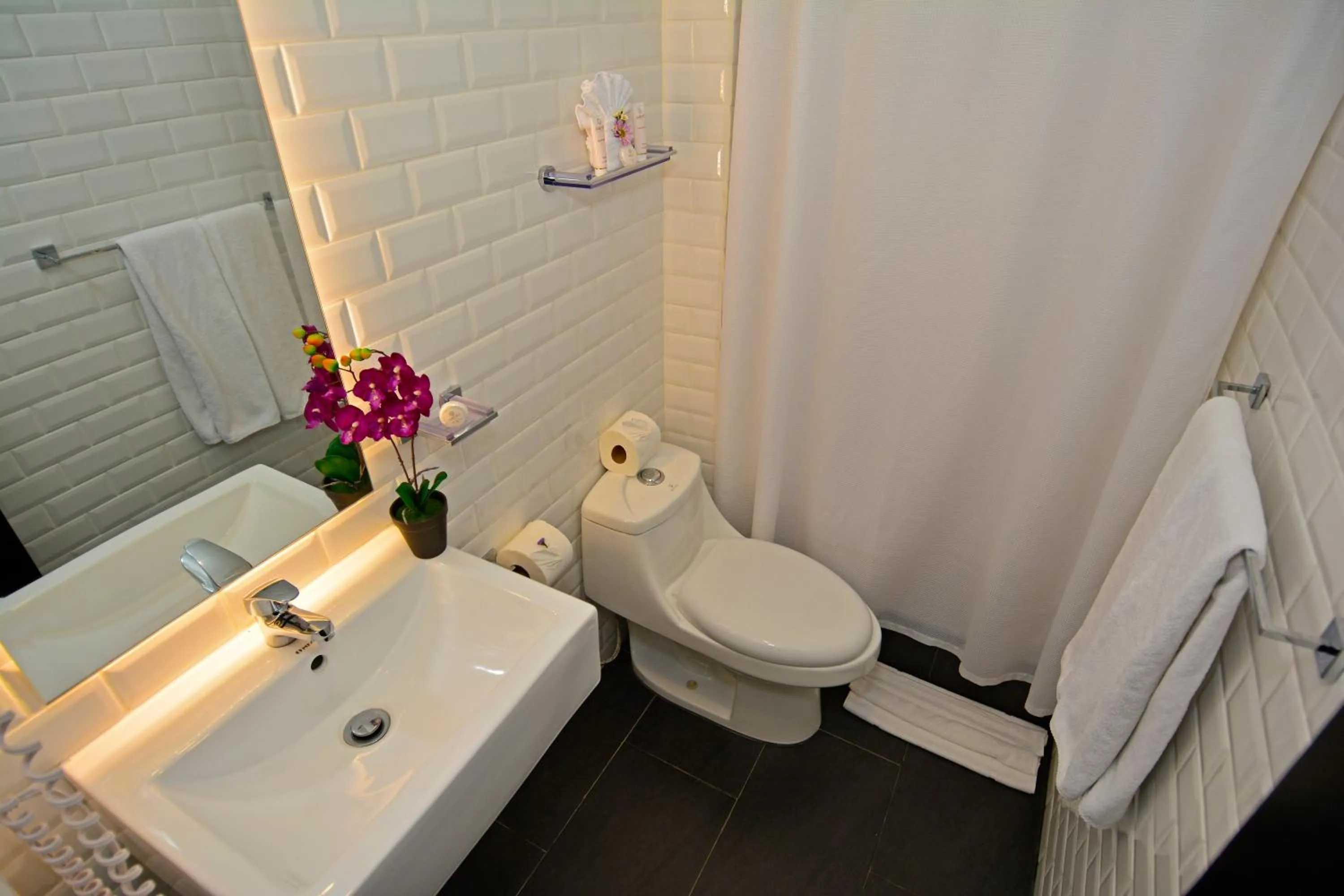 Shower in Auténtico Hotel