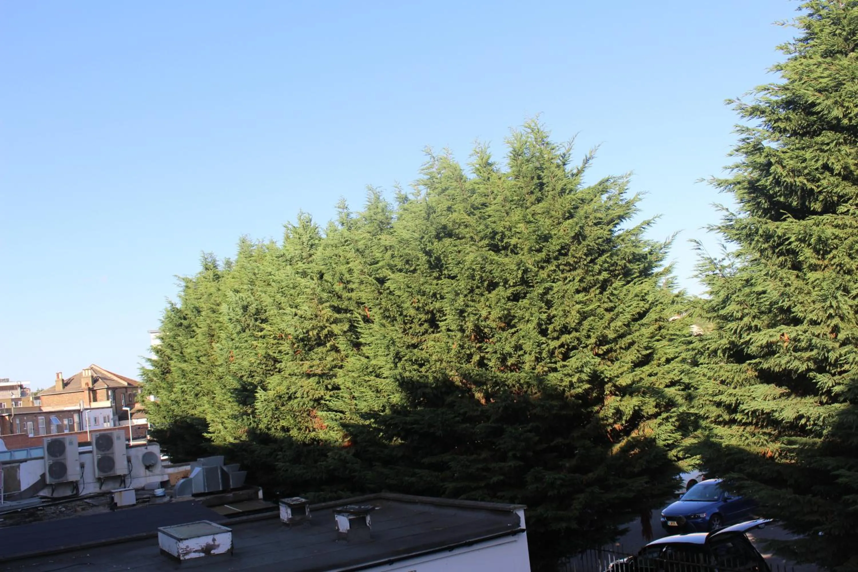 Day in Guest House London