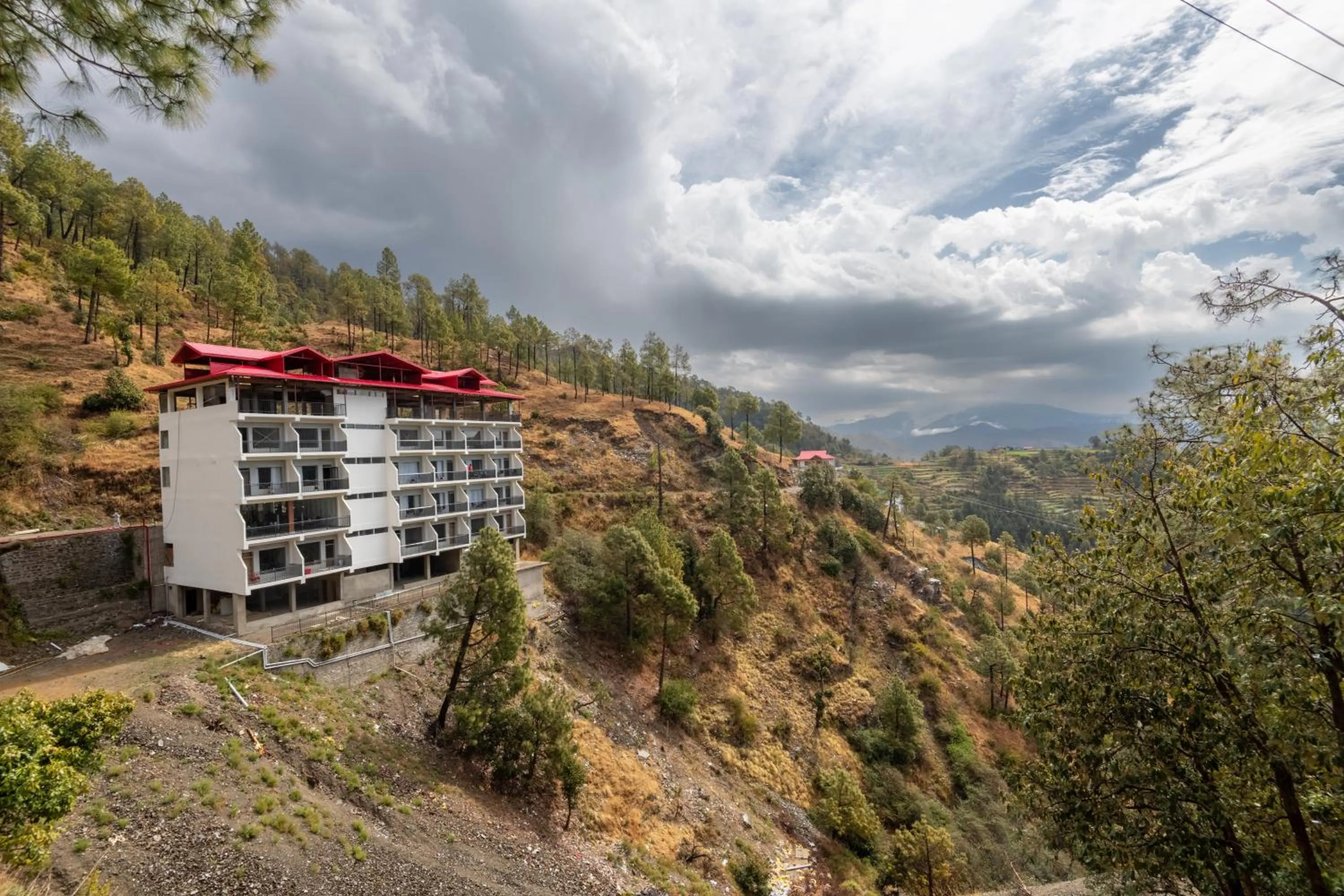 Natural landscape in The Chail Resort, Chail