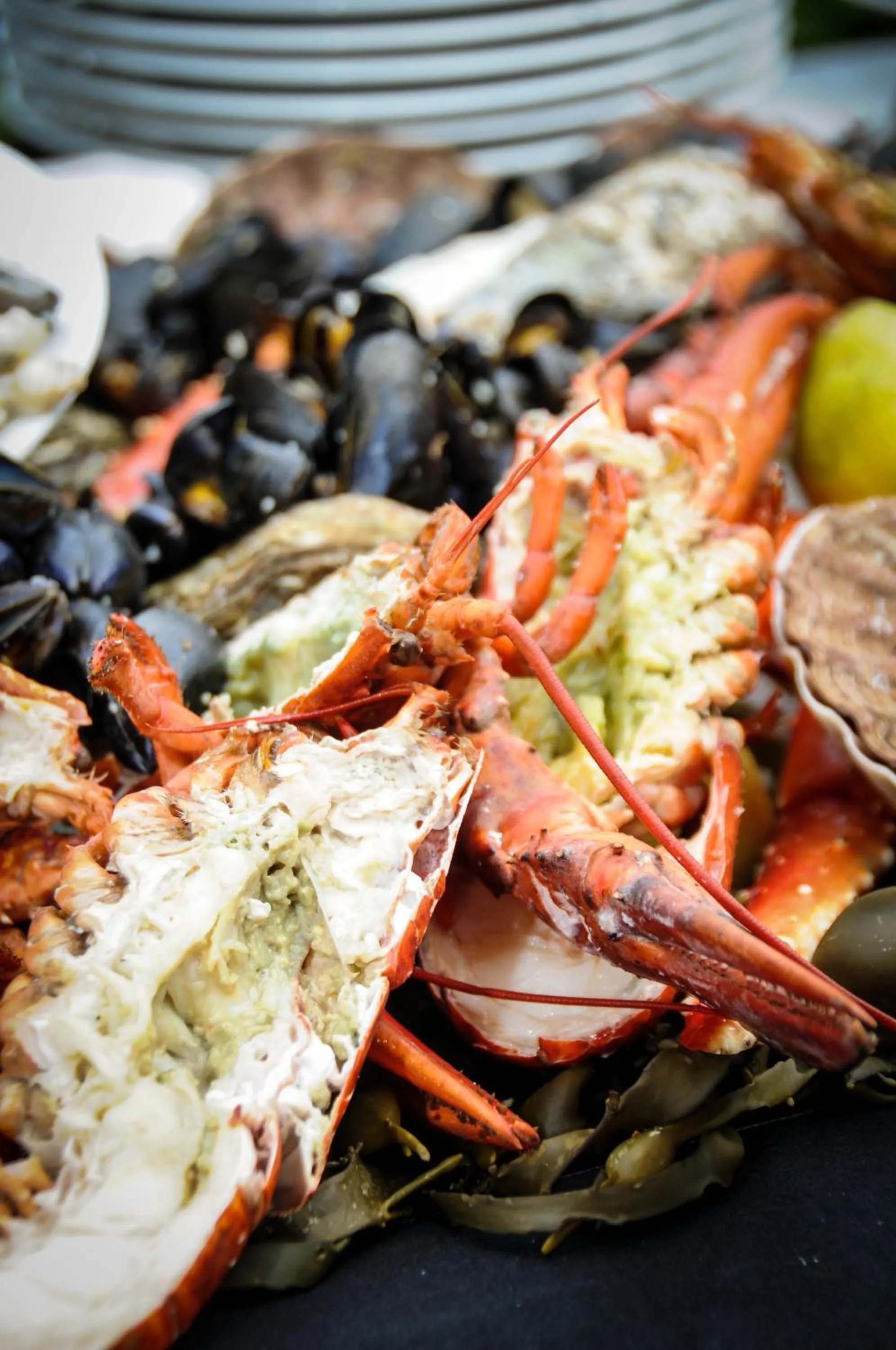 Food in Van der Valk Hotel Rotterdam Ridderkerk