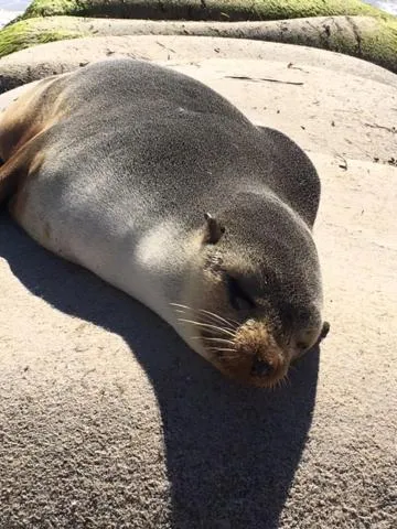 Sandy Bay Holiday Park