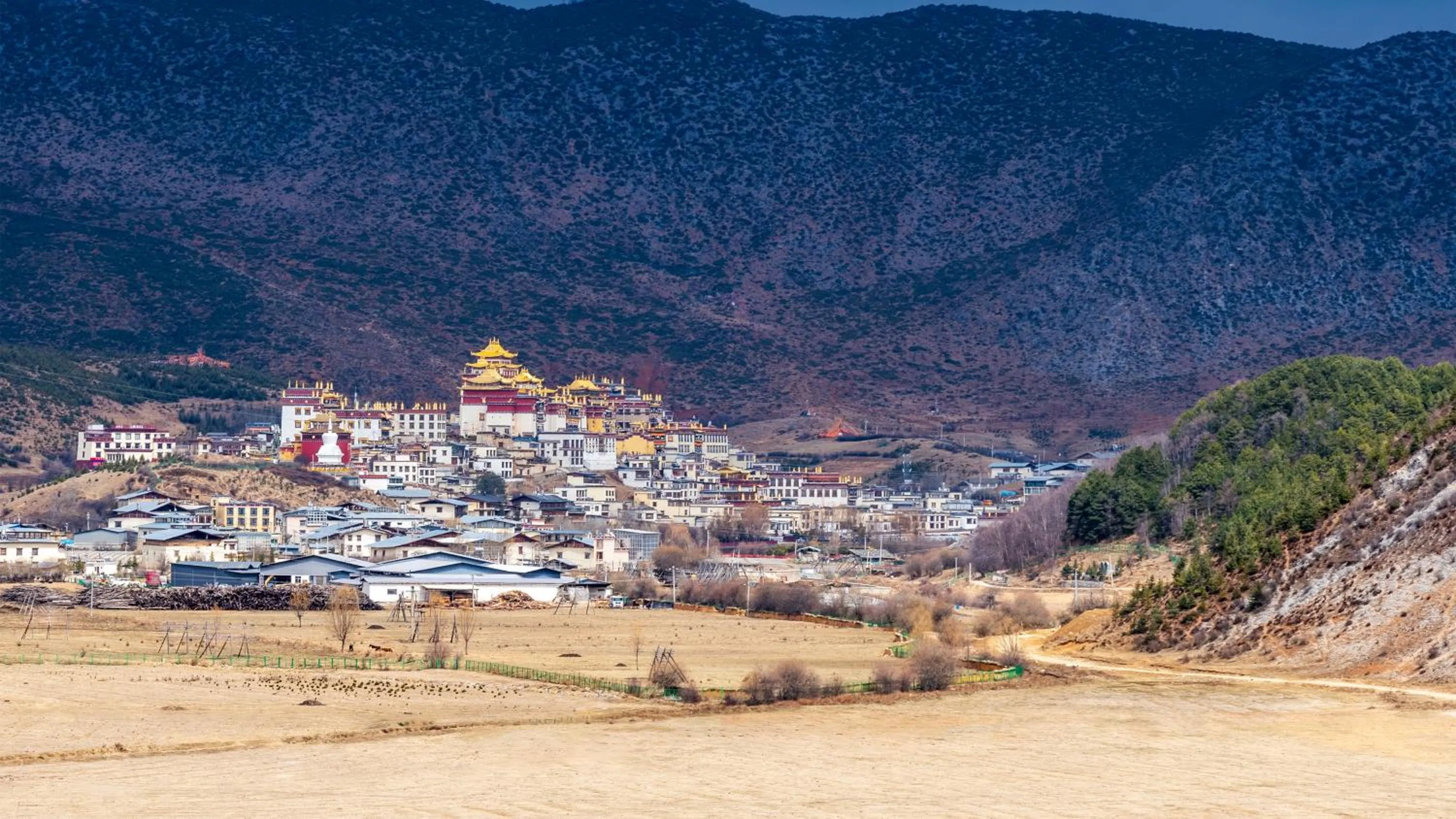 Other in Holiday Inn Express Shangri-La by IHG