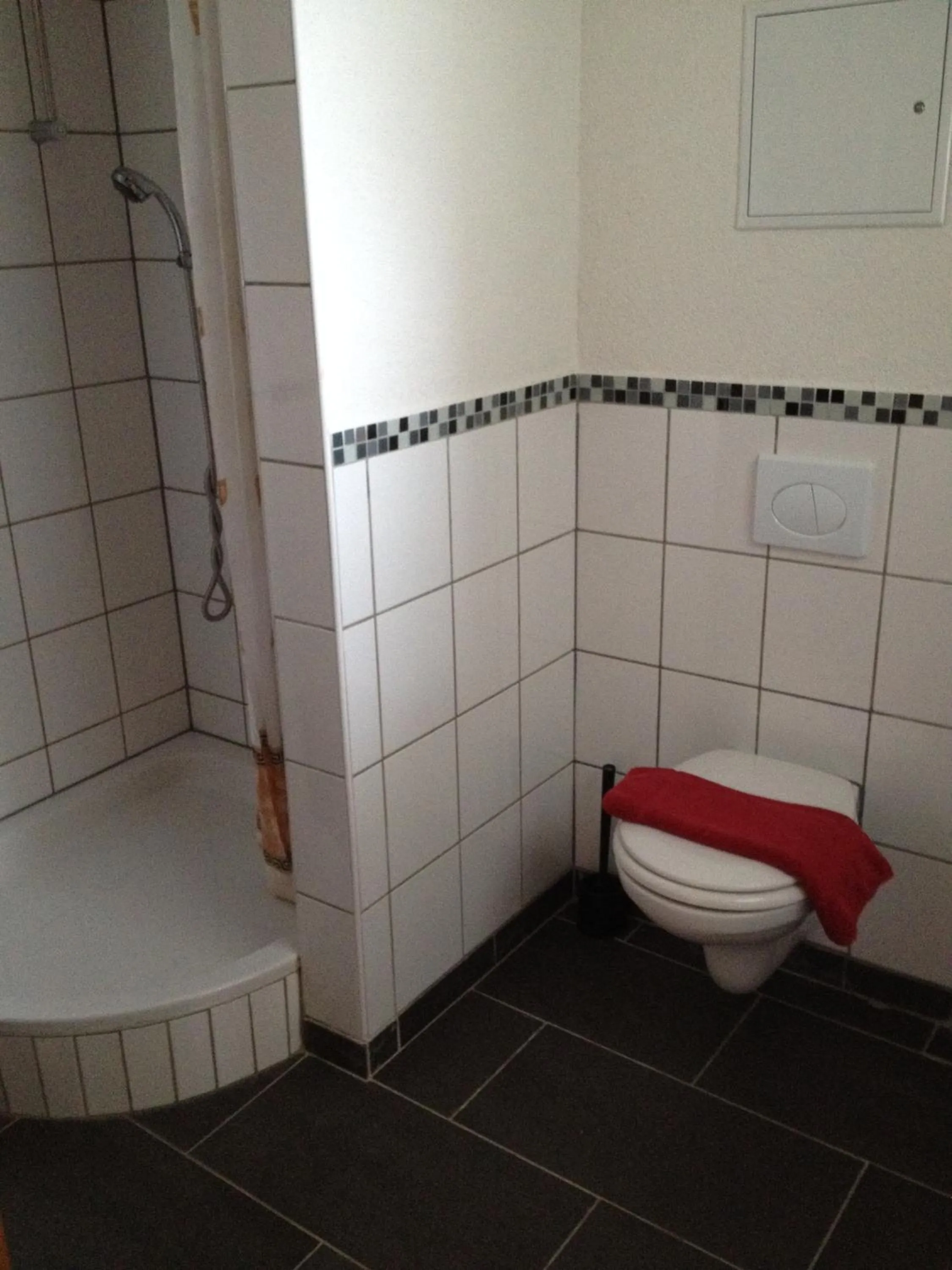 Toilet in Hotel Saarland Lebach