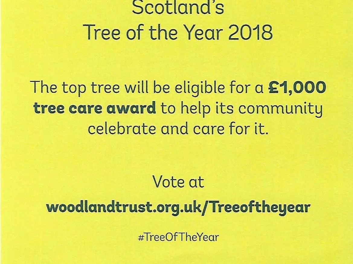 Other in Kirkconnel Hall Hotel