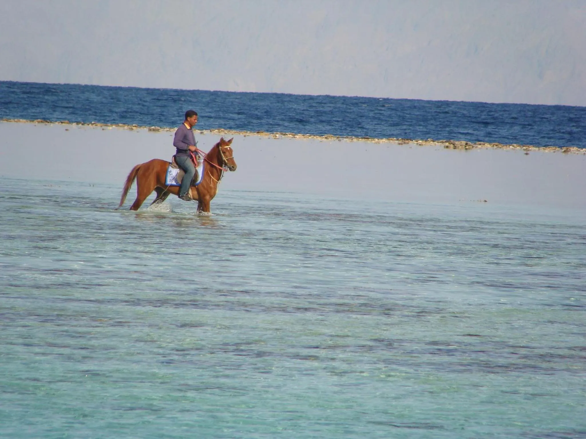 Beach in Villa Boghdady Dahab