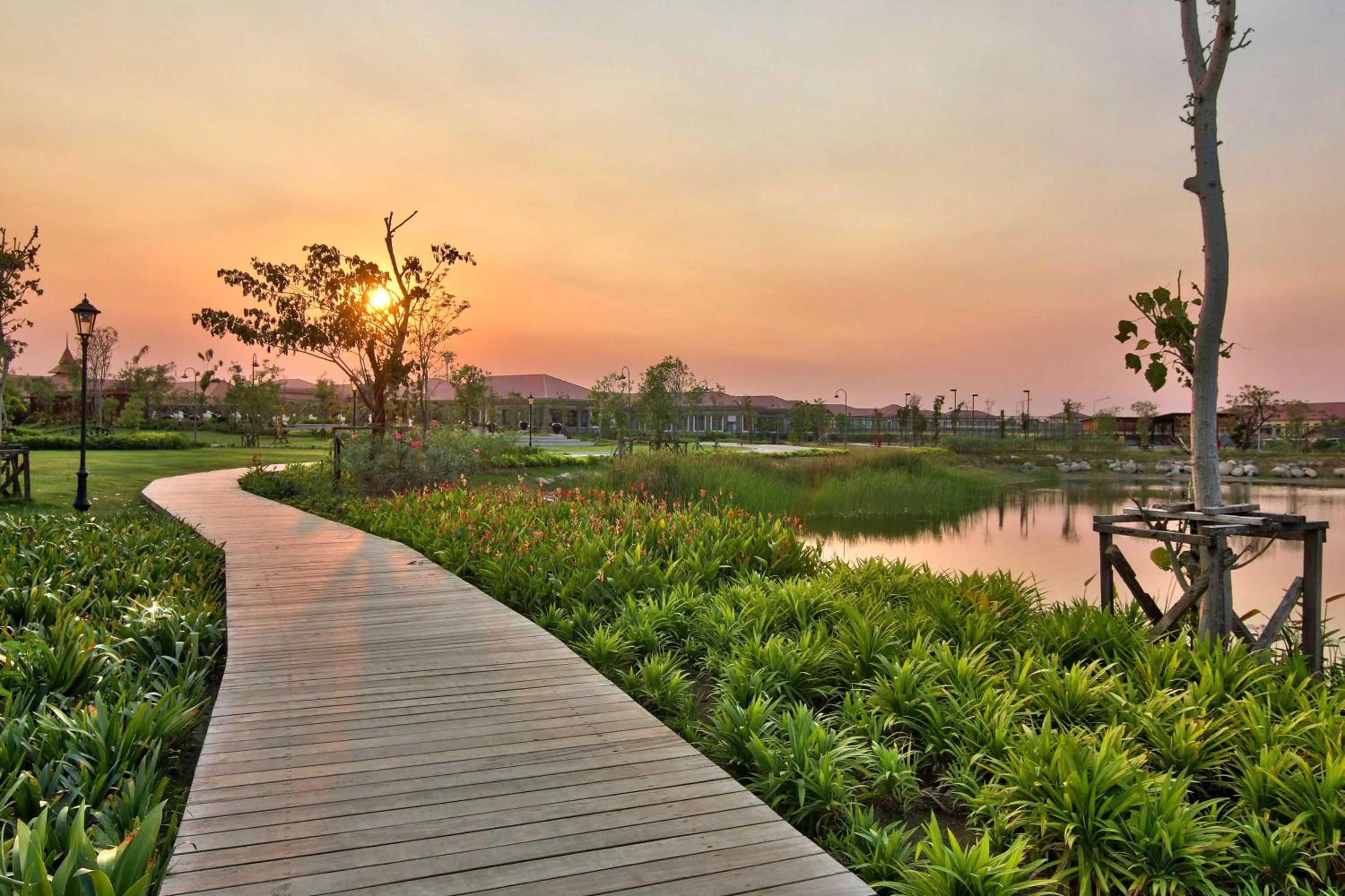 Garden in Hilton Nay Pyi Taw