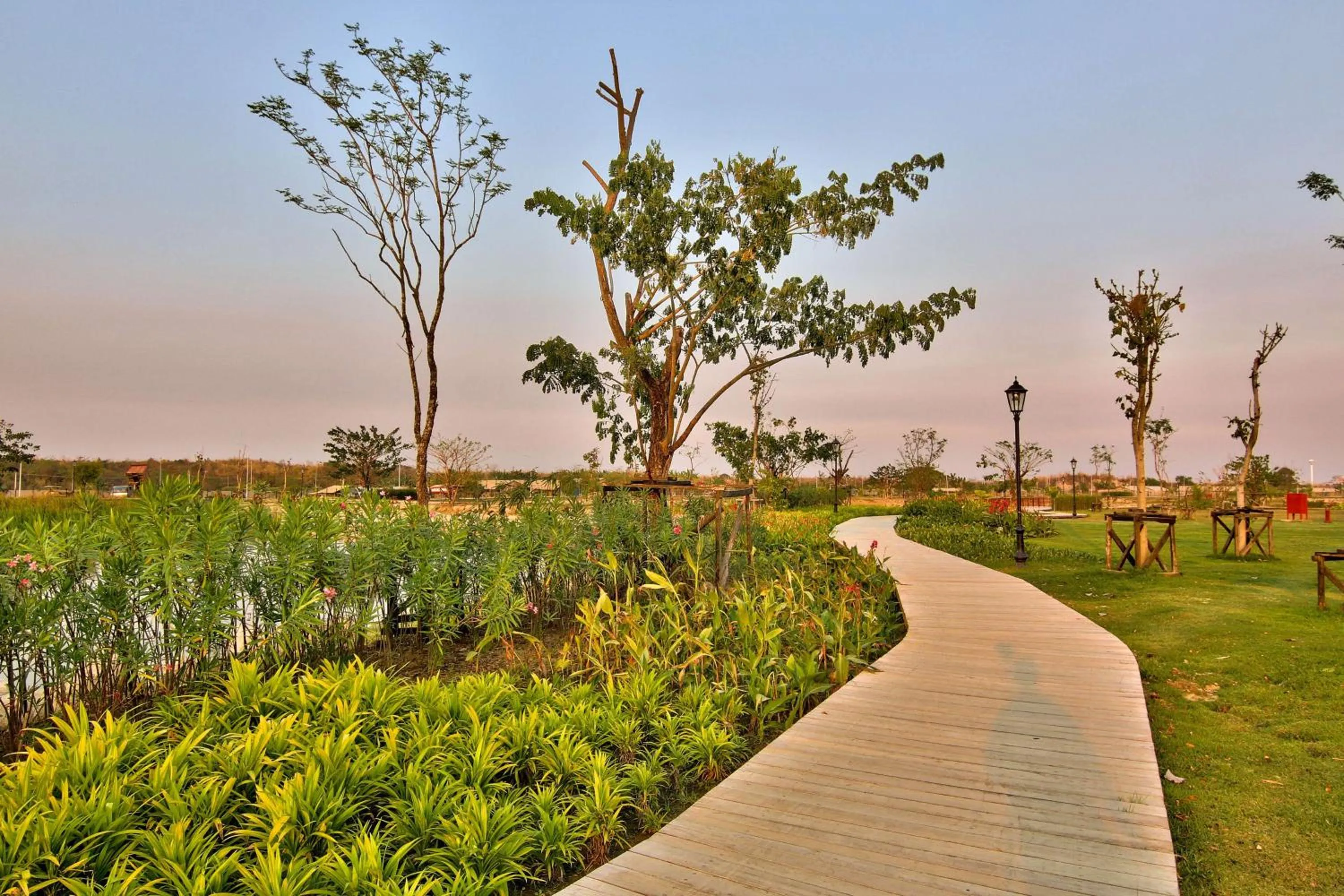 Garden in Hilton Nay Pyi Taw