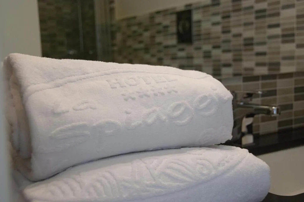 Seating area in Hotel la Spiaggia