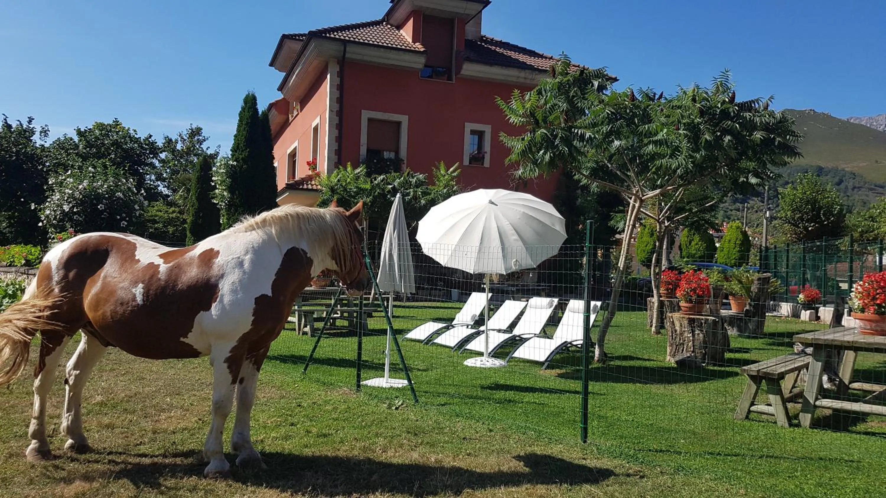 Day in Hotel Rural El Torrejon
