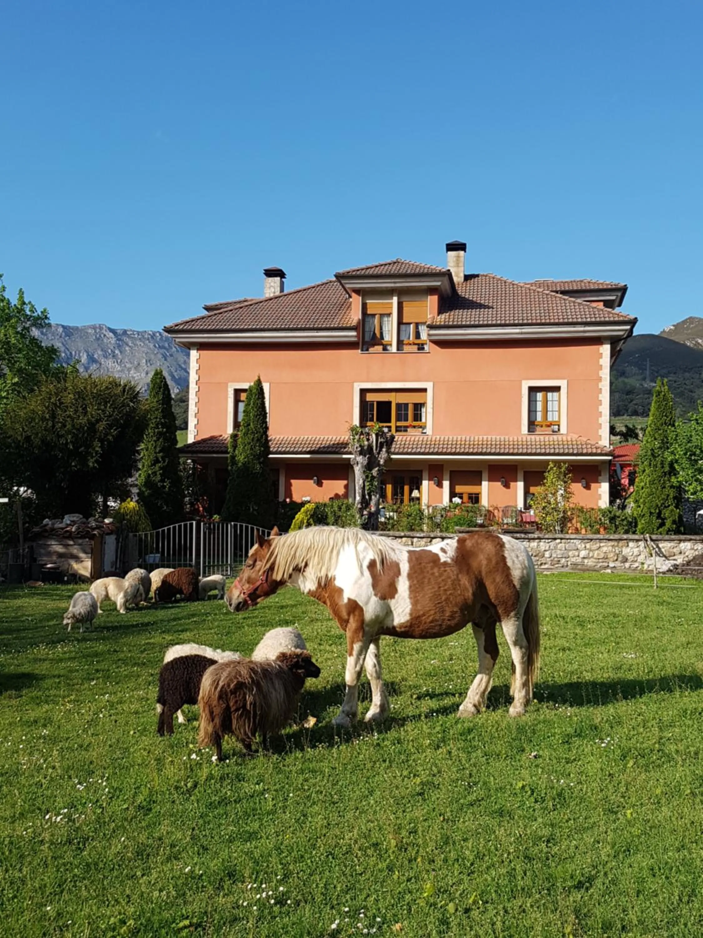 Property building in Hotel Rural El Torrejon