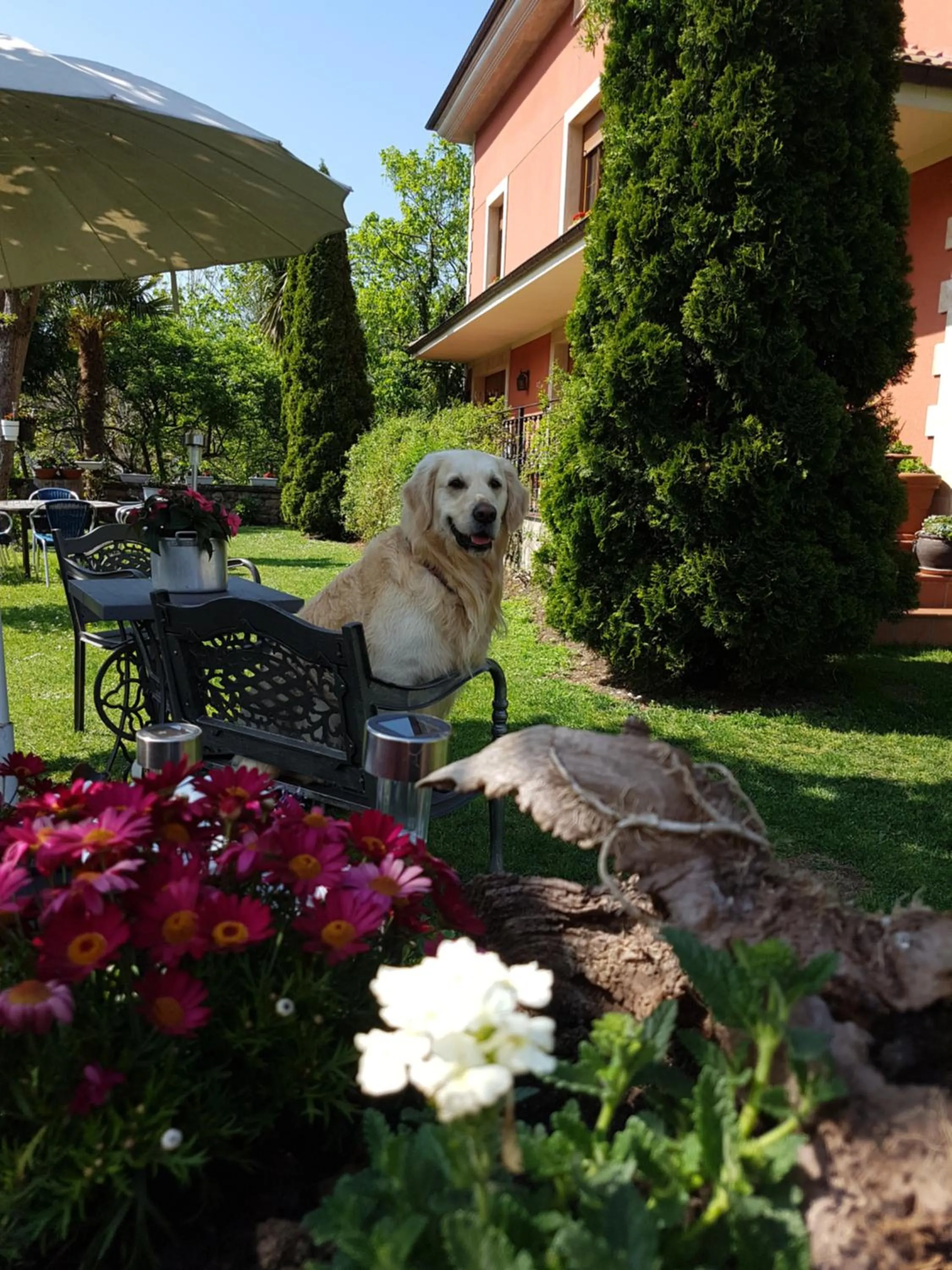 Garden in Hotel Rural El Torrejon