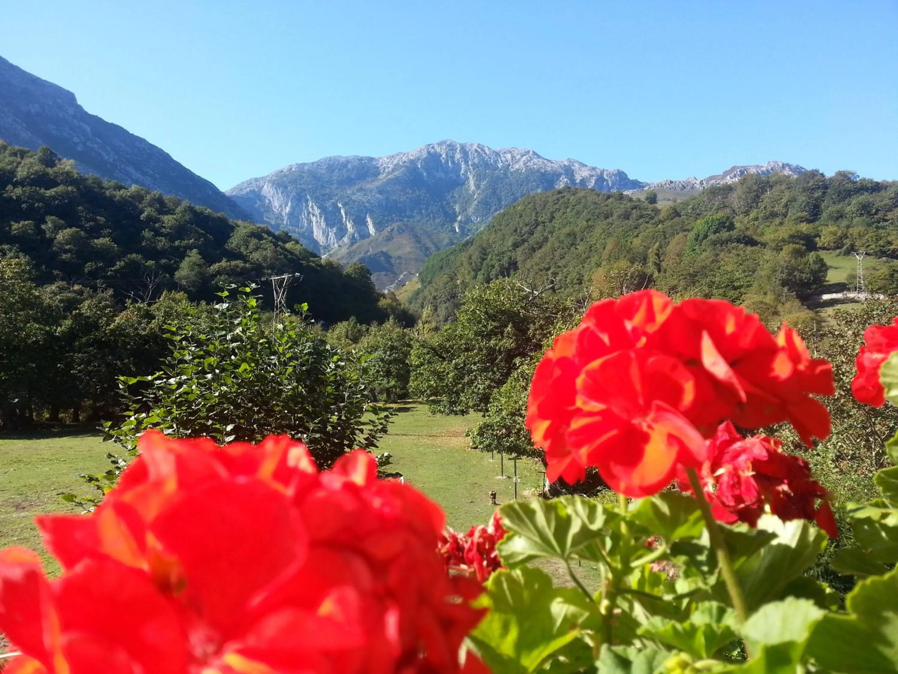 View (from property/room) in Hotel Rural El Torrejon