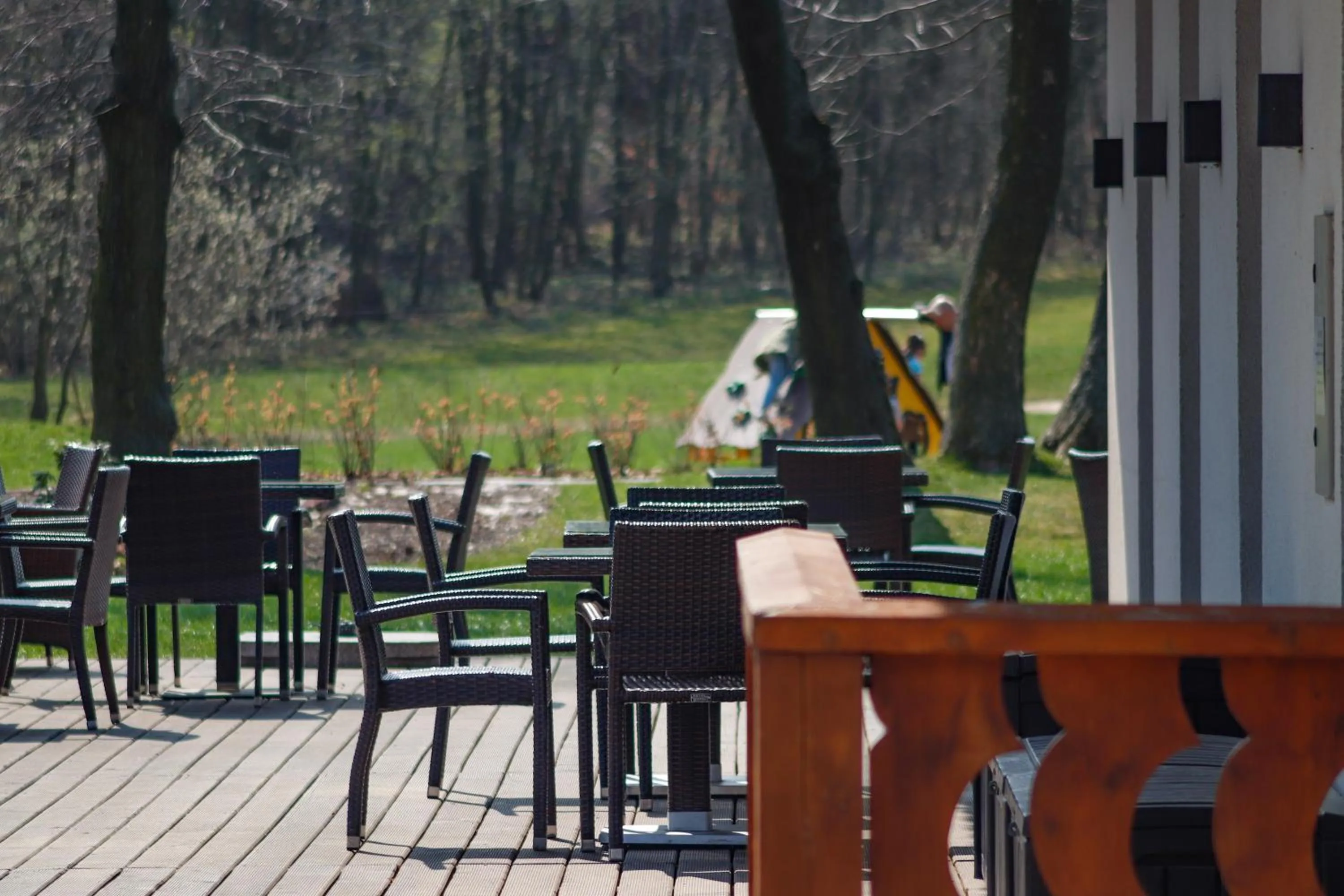 Garden view in Dworzysko
