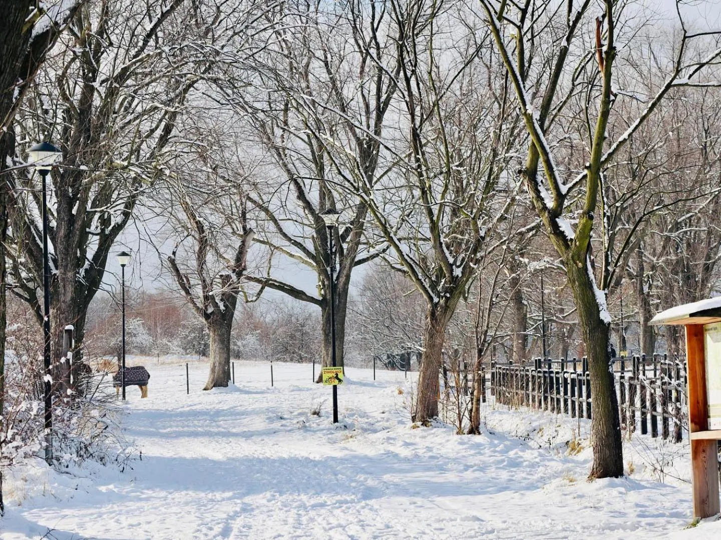 Natural landscape in Dworzysko