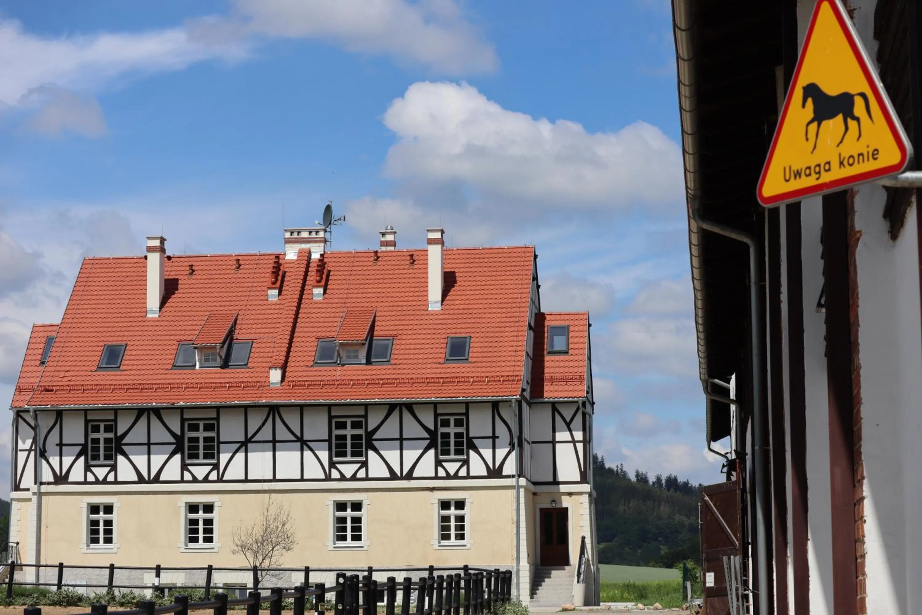 Horse-riding in Dworzysko