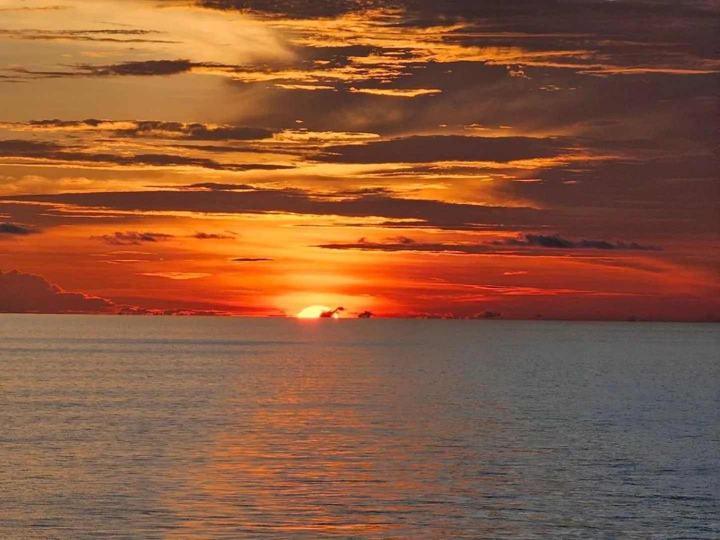 Natural landscape in Orbi City Hotel