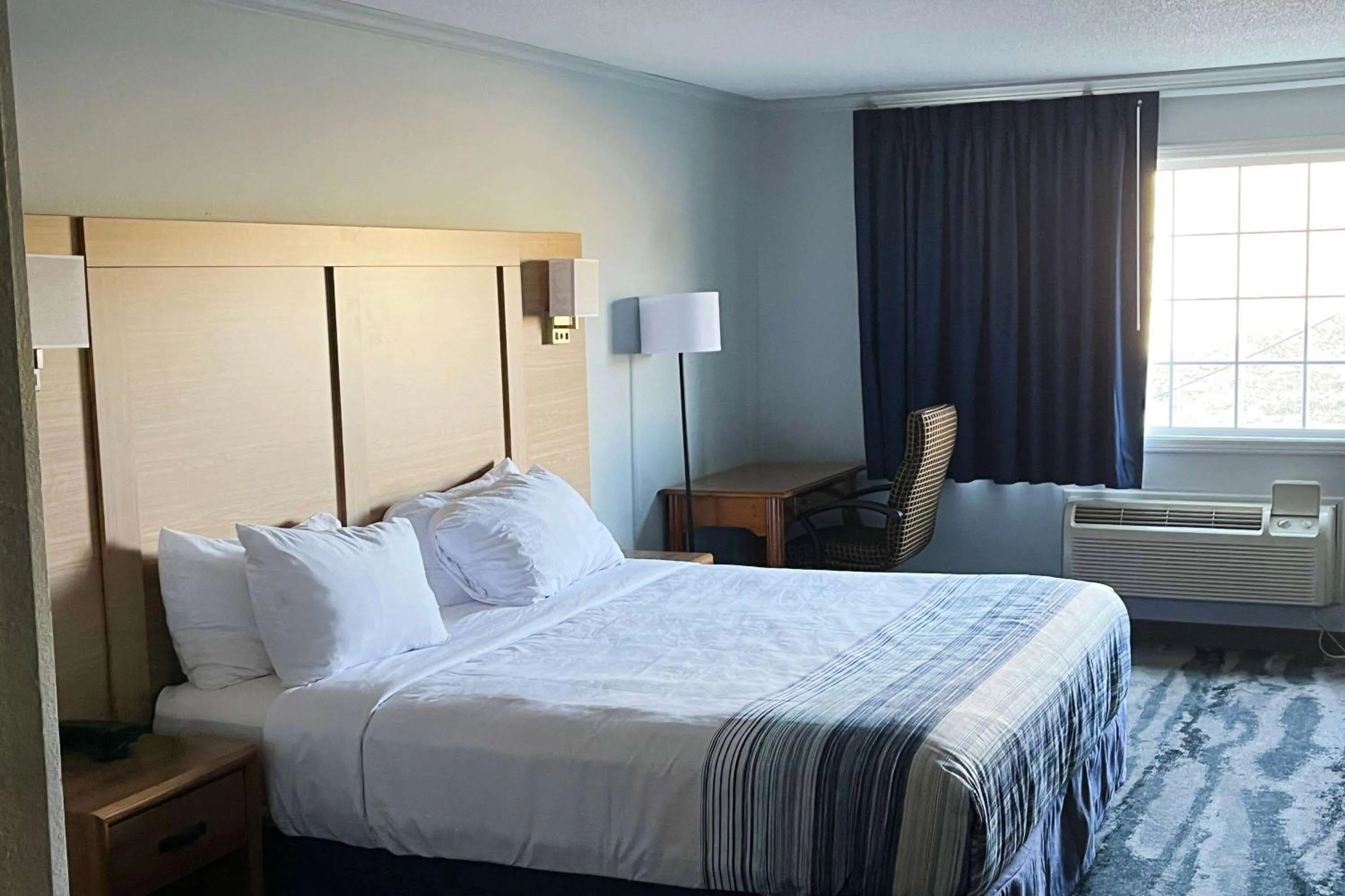 Photo of the whole room, Bed in Days Inn & Suites by Wyndham Williamsburg IA North