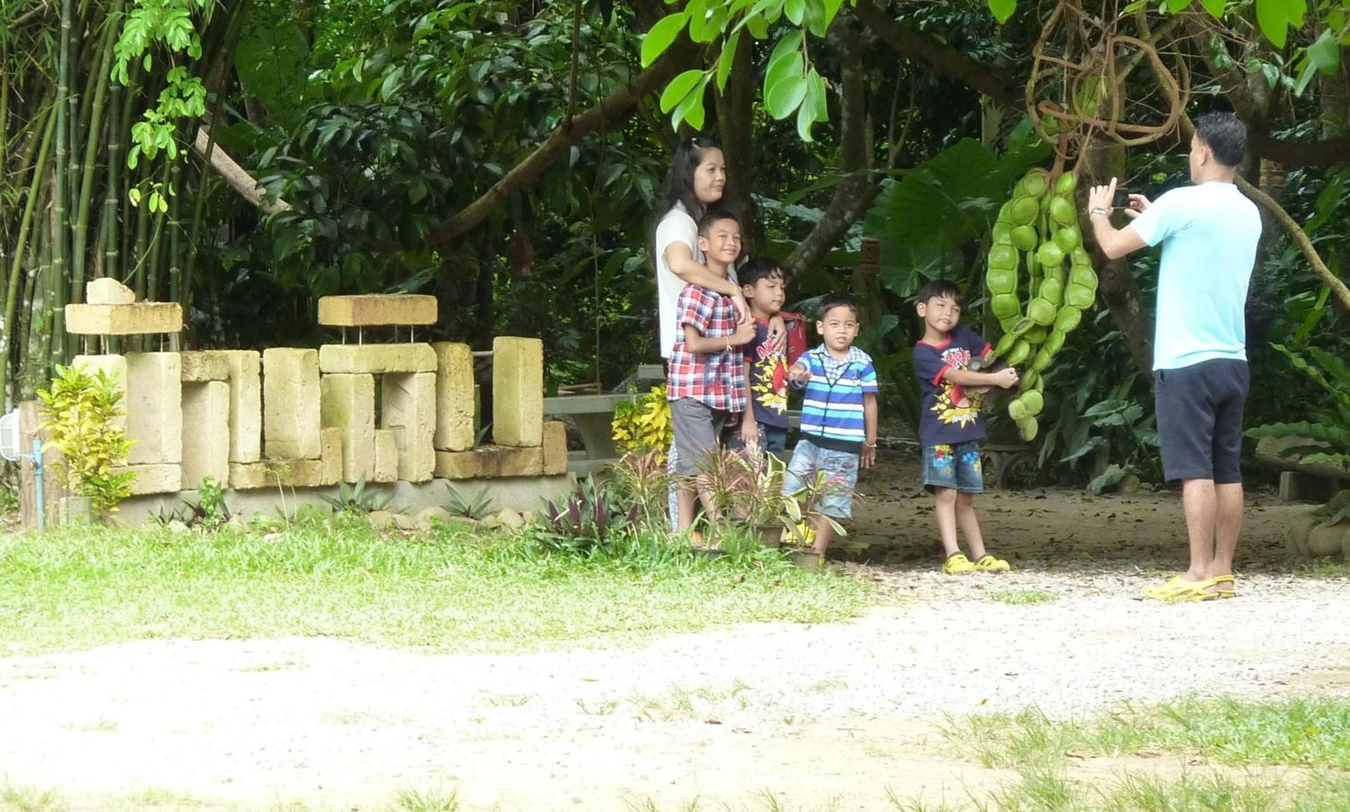 Garden in Baandin Chiewlarn