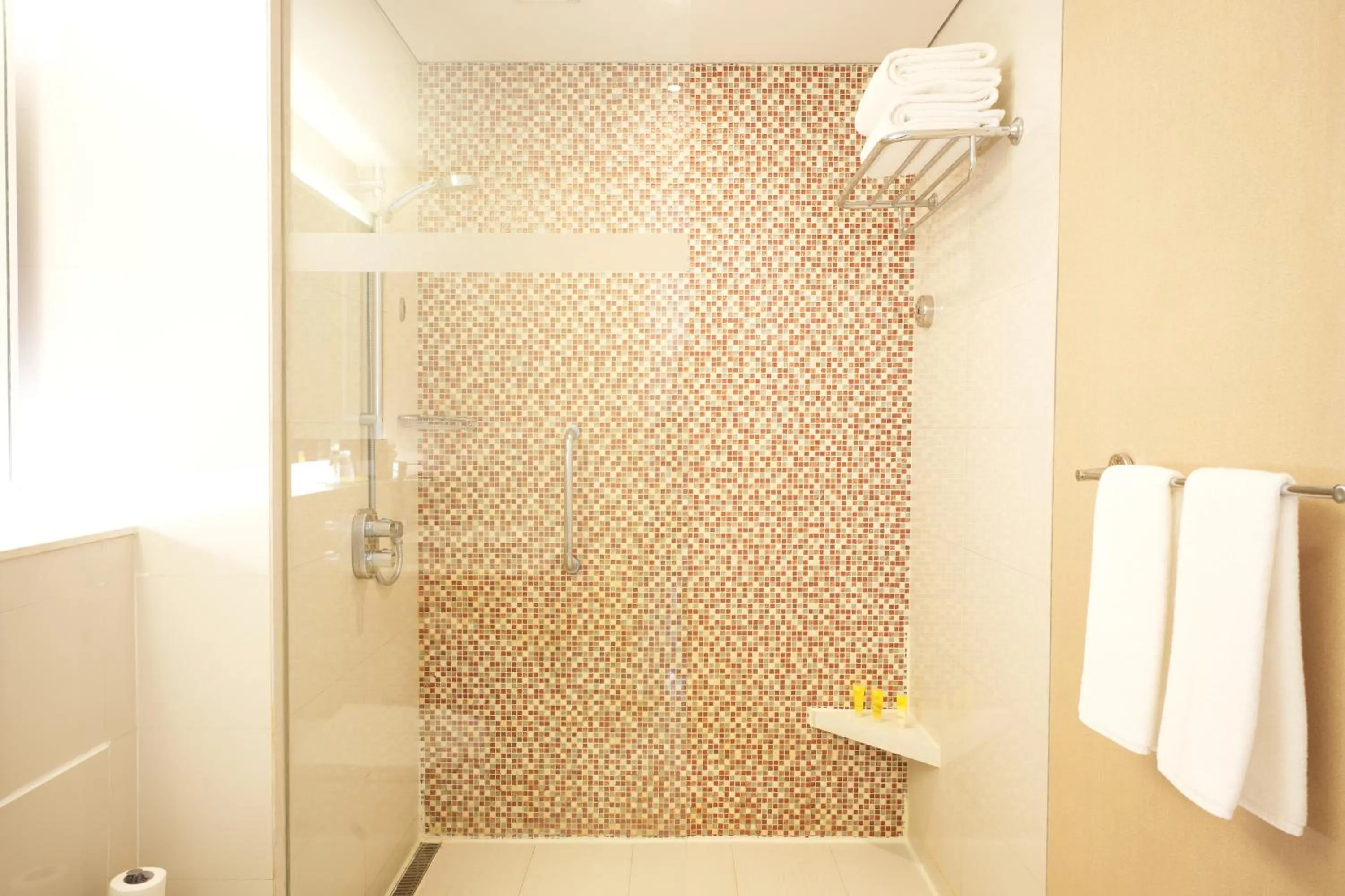 Shower in Hyatt Place Gurgaon Udyog Vihar