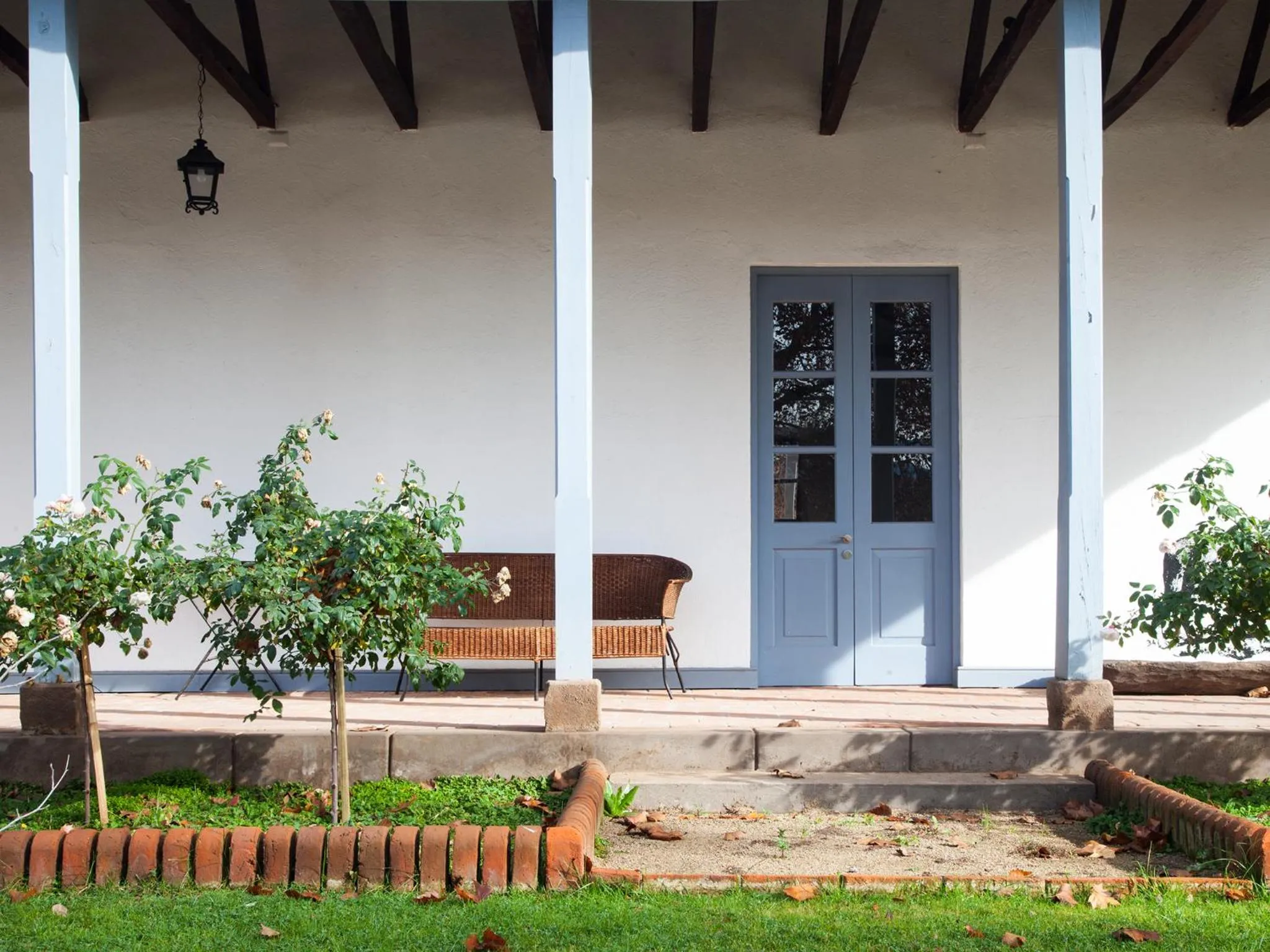 Patio in NOI Blend Colchagua