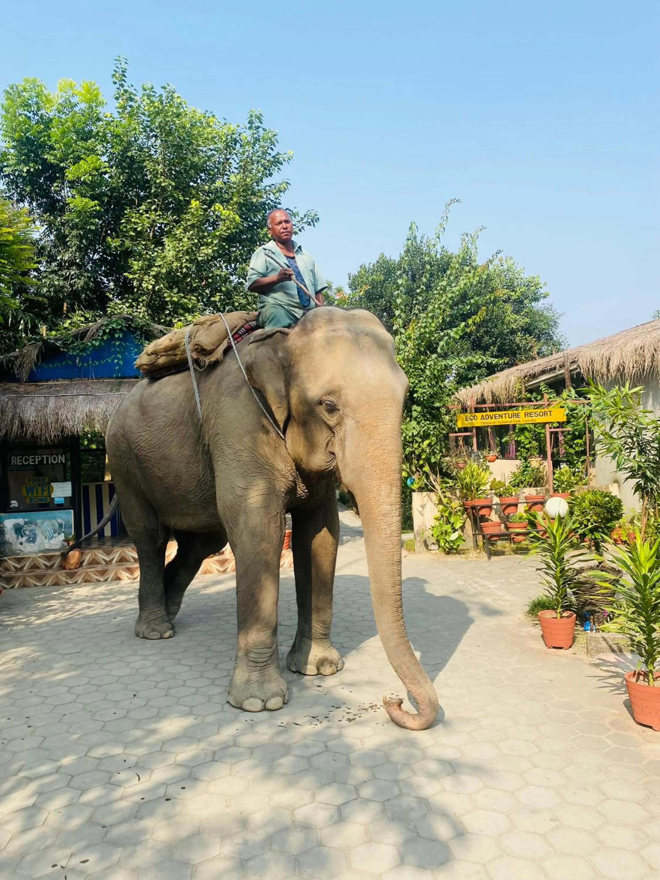 Animals in Eco Adventure Resort