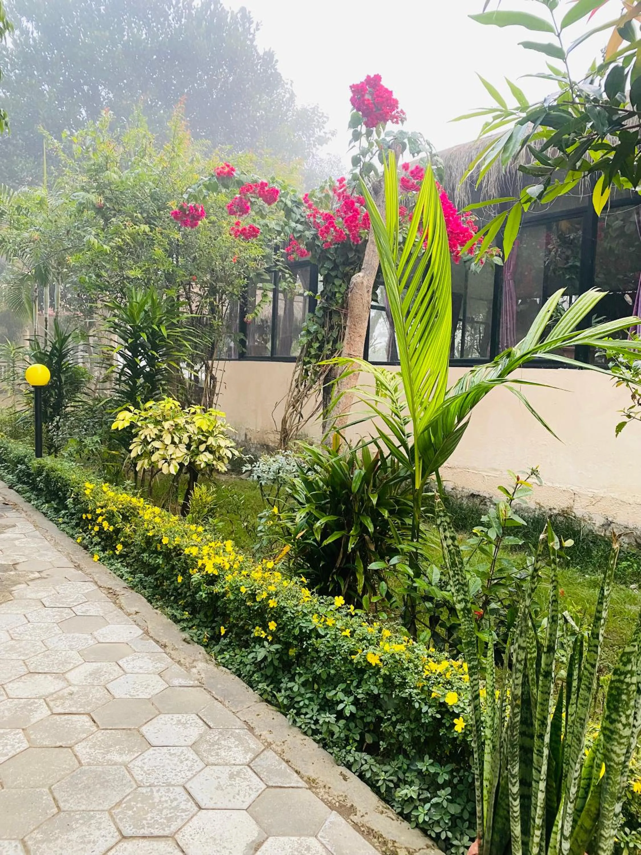 Garden in Eco Adventure Resort