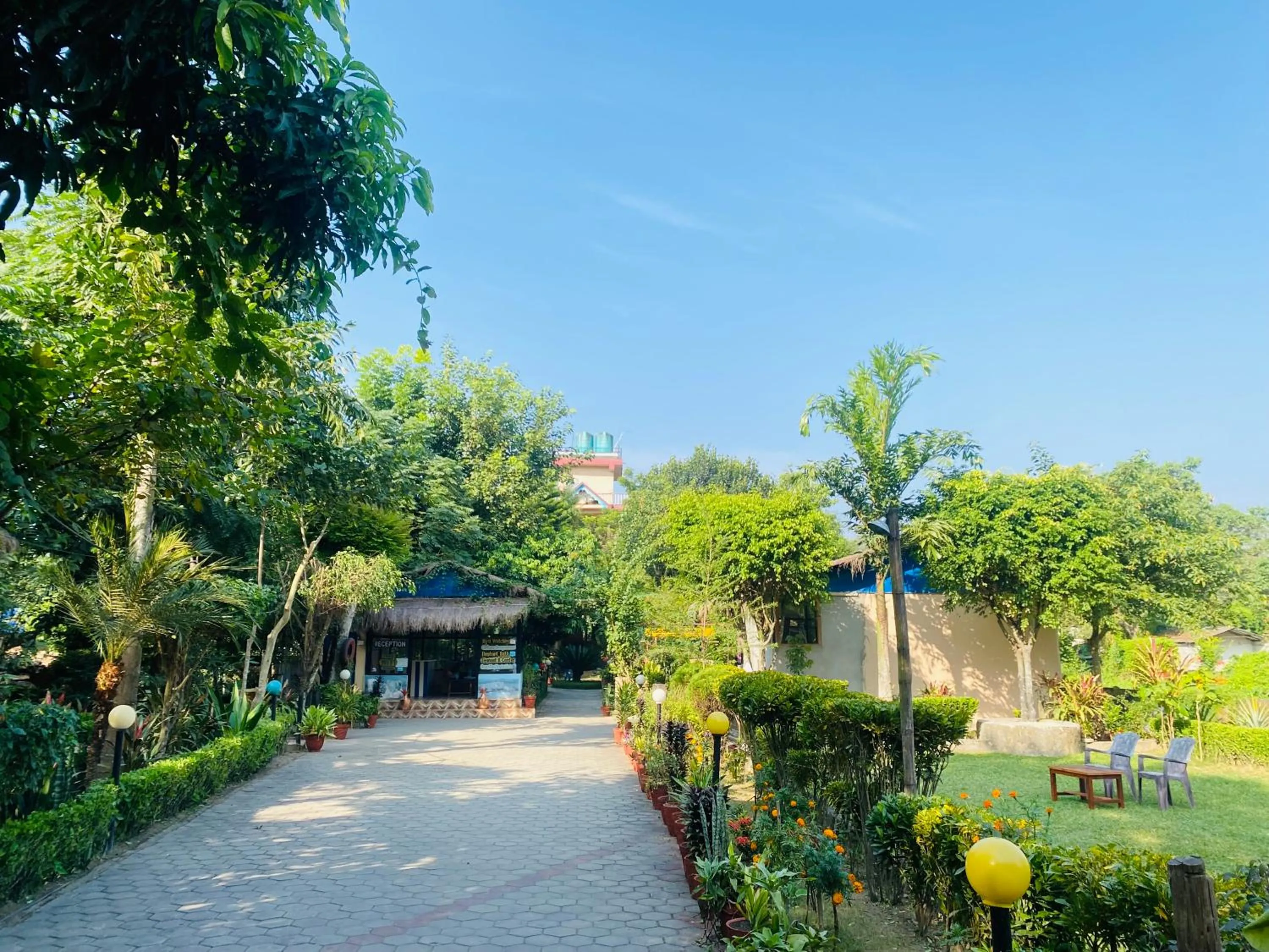 Natural landscape in Eco Adventure Resort