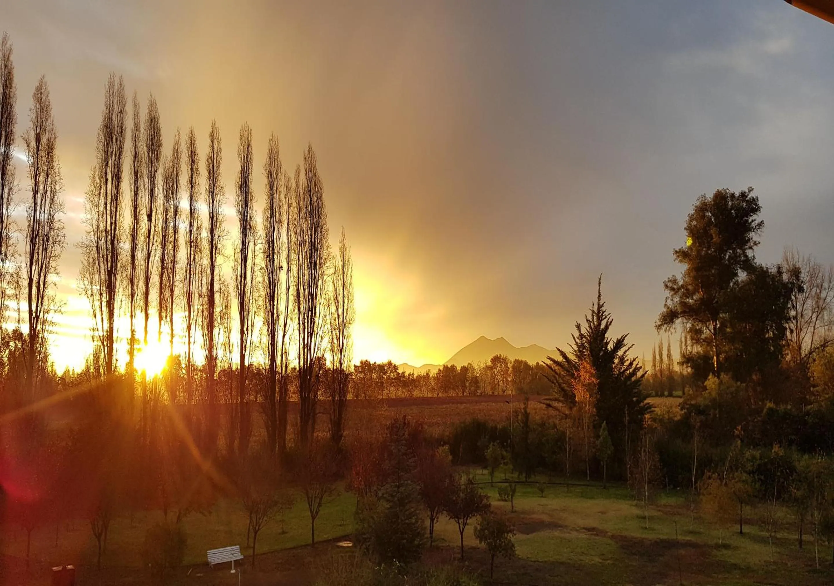 Natural landscape in Hotel El Almendro