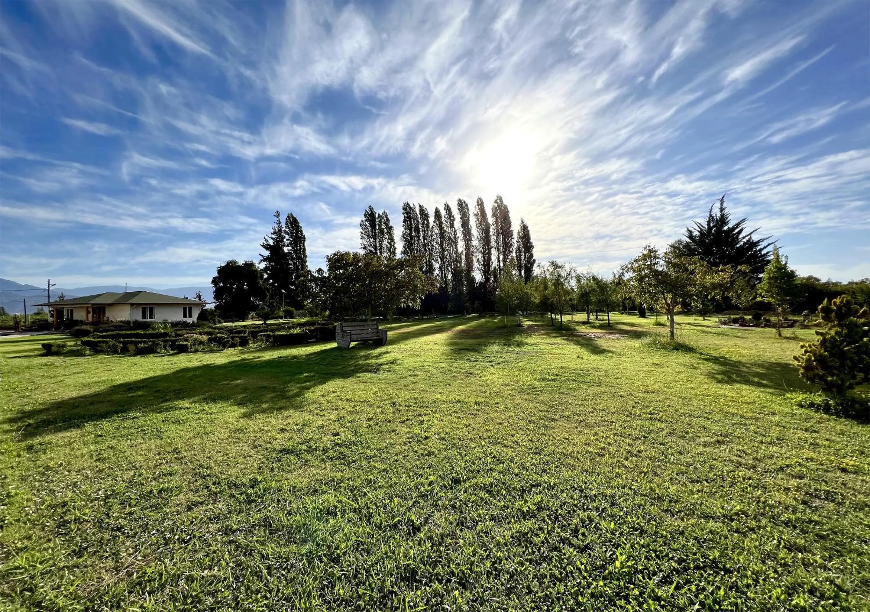 Garden in Hotel El Almendro
