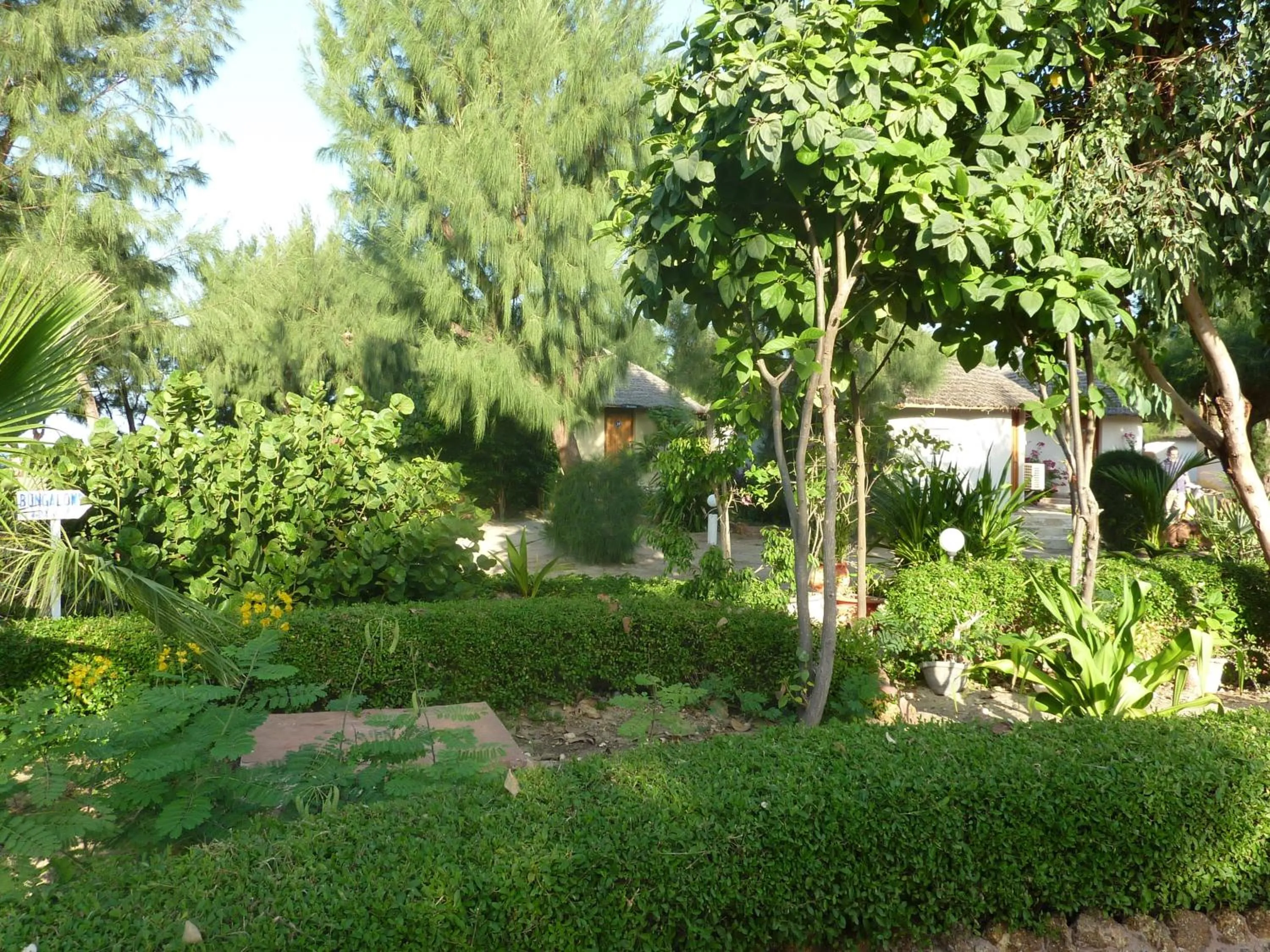 Garden in Hotel Cap Saint Louis