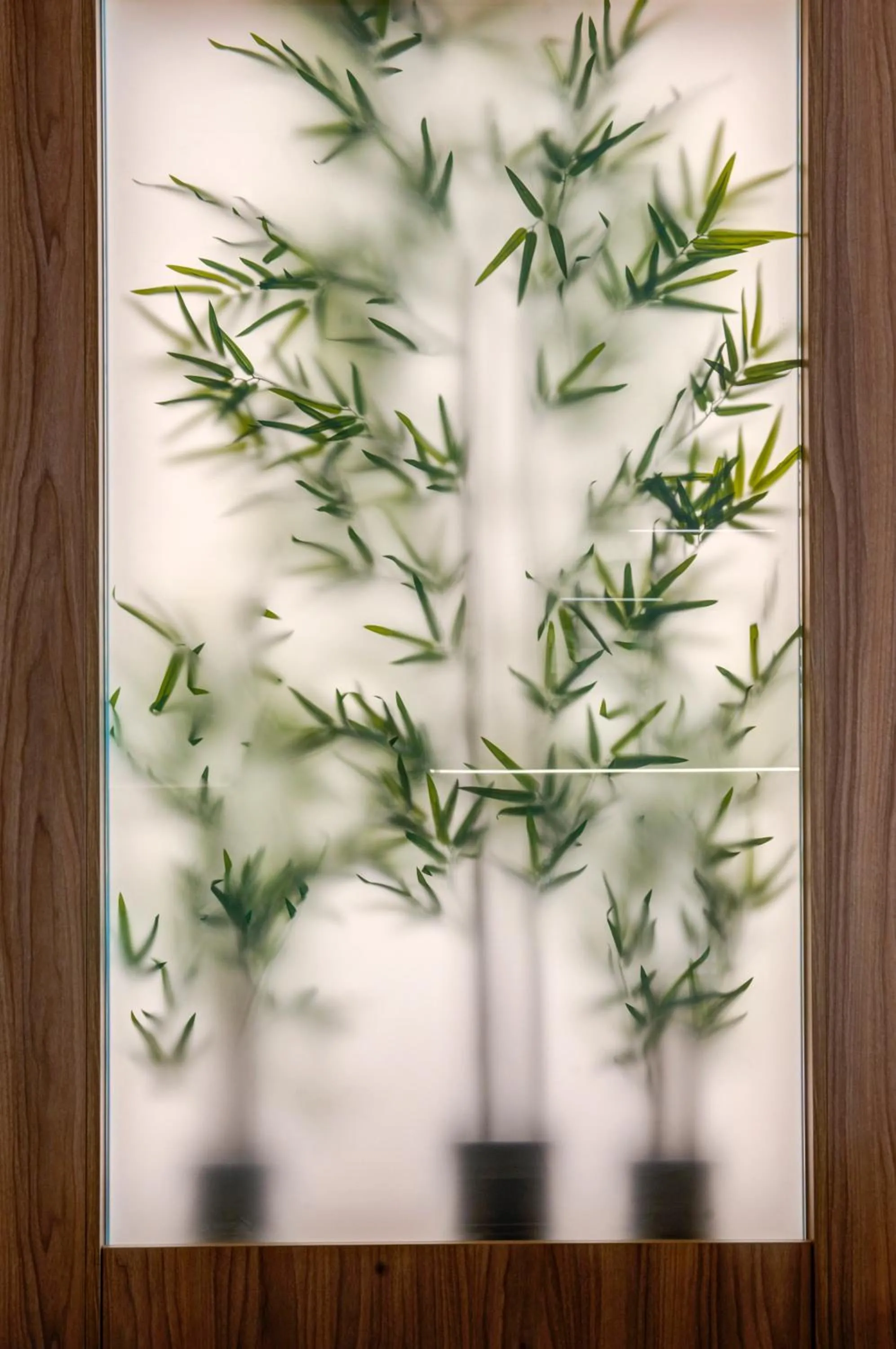 Lobby or reception in Noru Hotel Malta - Adults Only Hotel