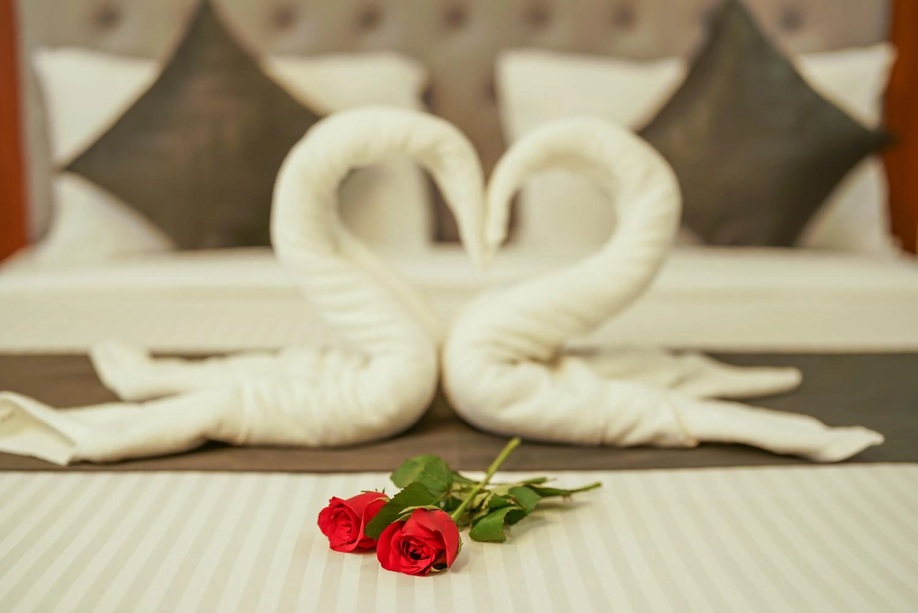 Bathroom, Bed in Royal Plaza City