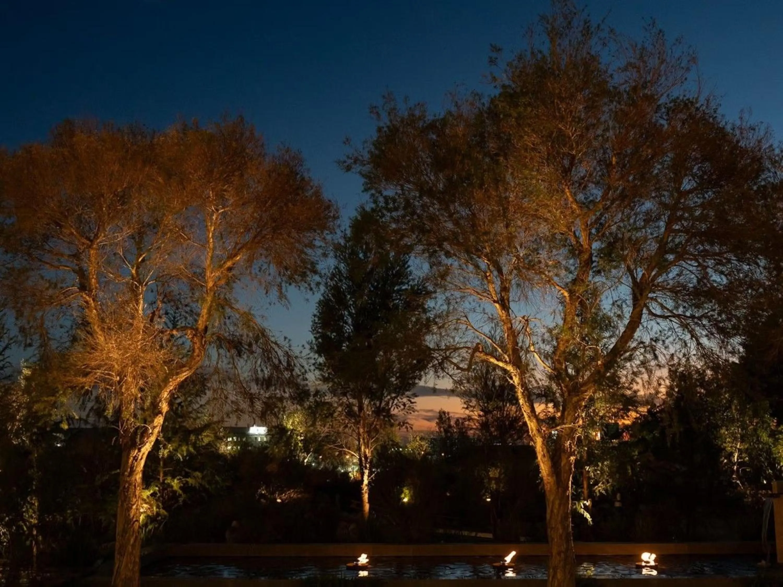 Garden view in GREENITY IWATA