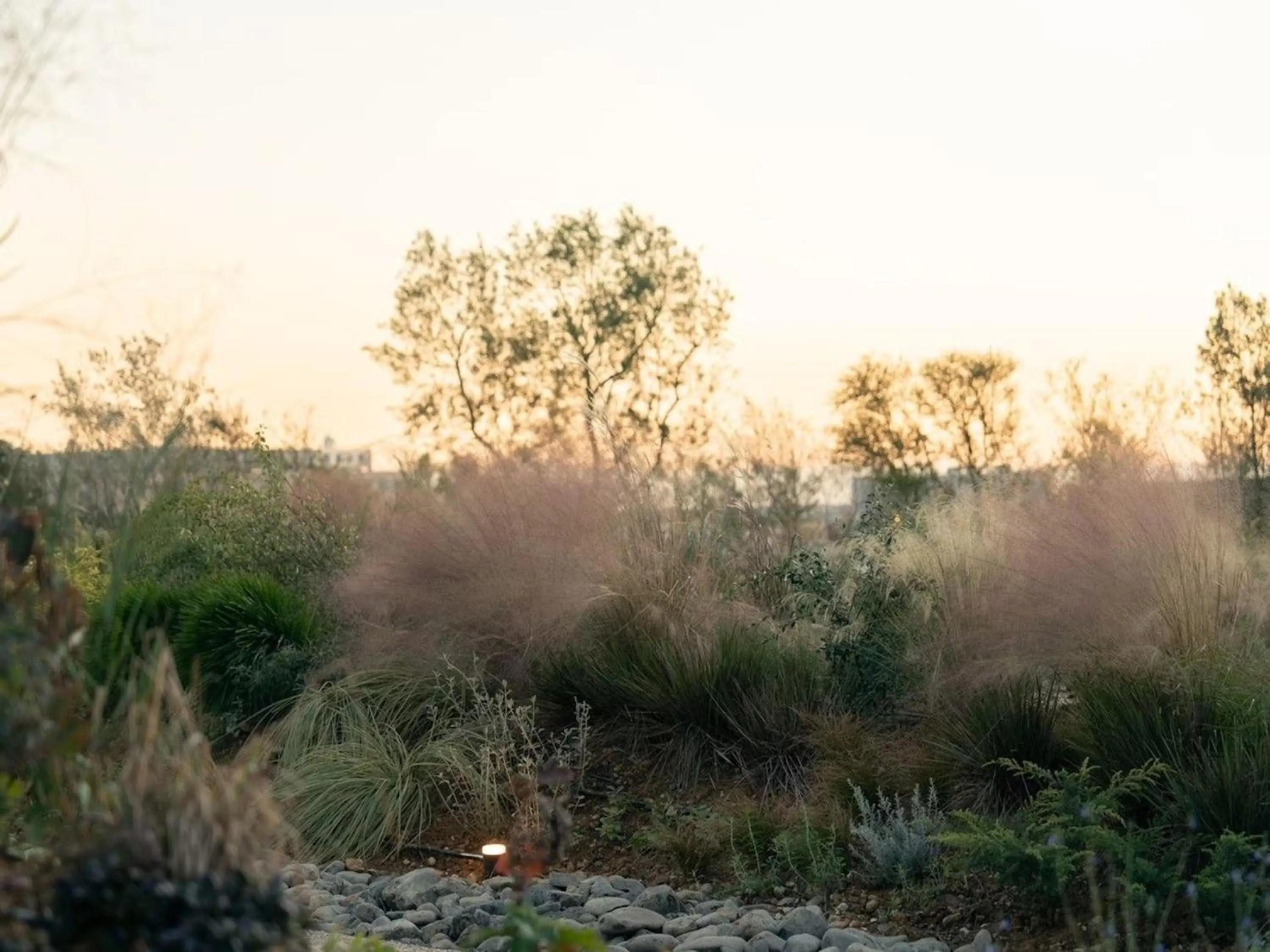 Garden view in GREENITY IWATA